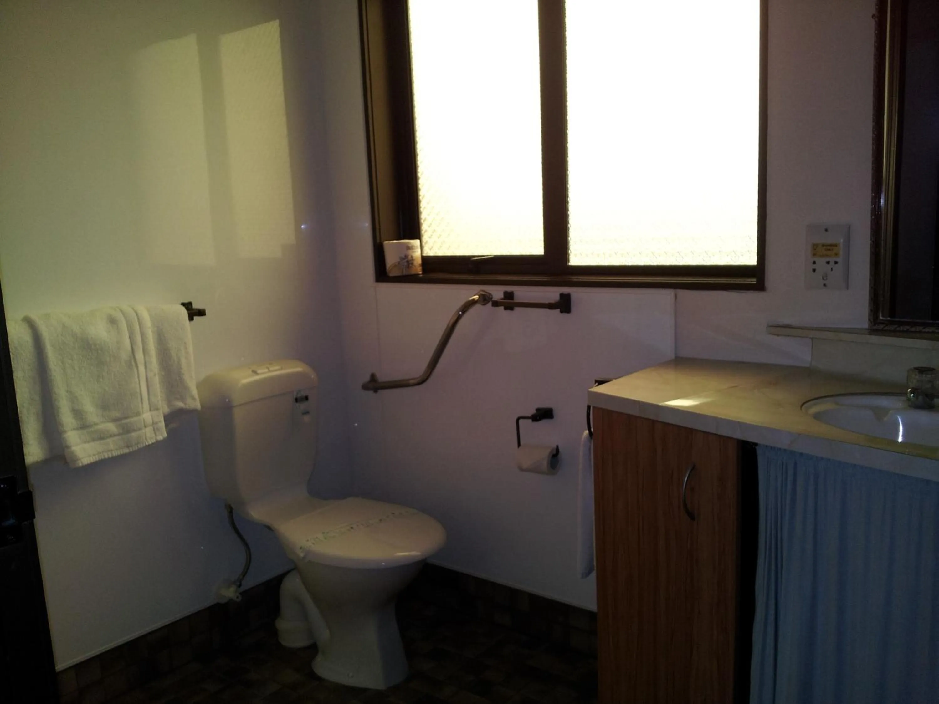Bathroom in Ace High Motor Inn