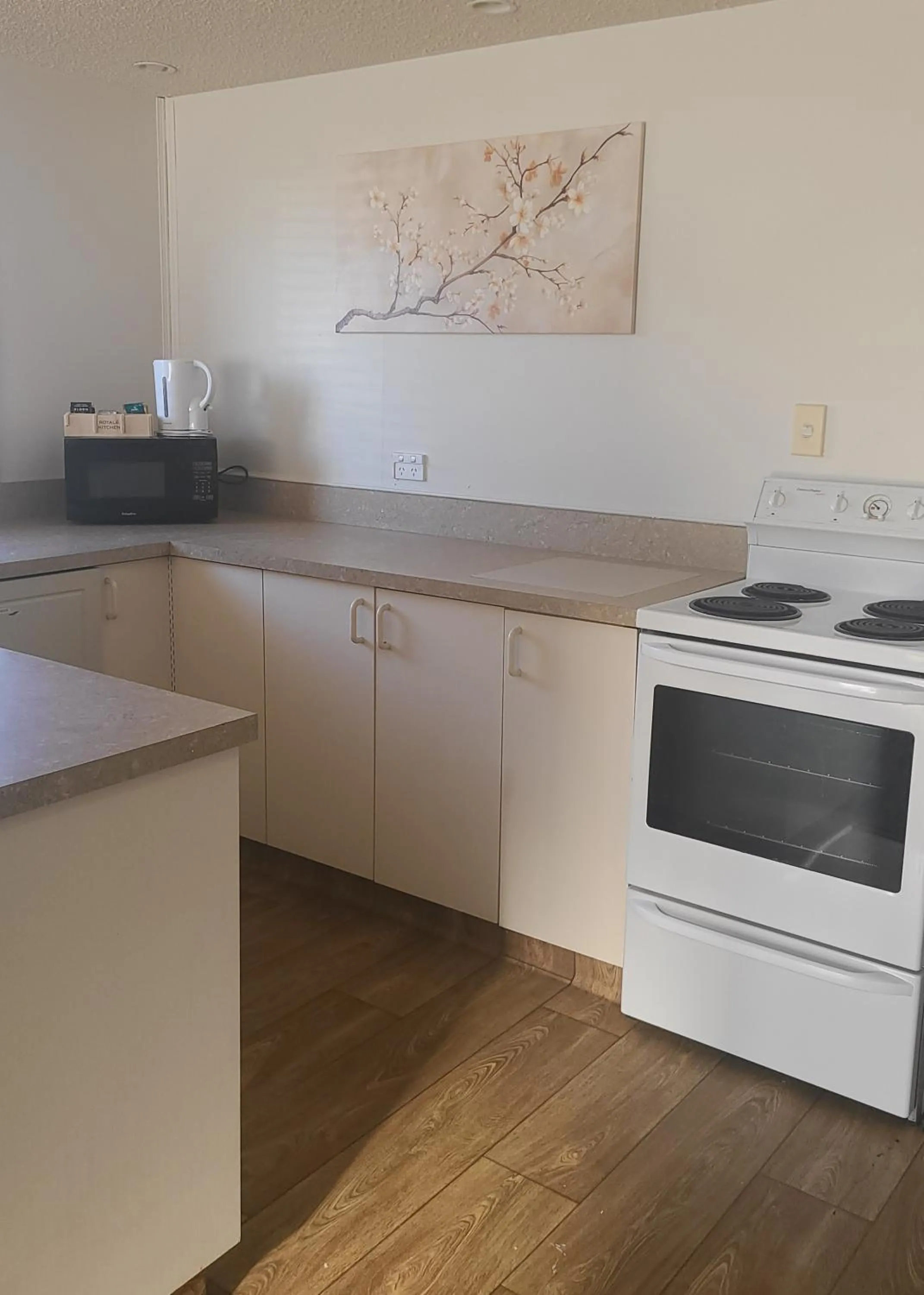 Kitchen or kitchenette in BK's Fountain Court Motel