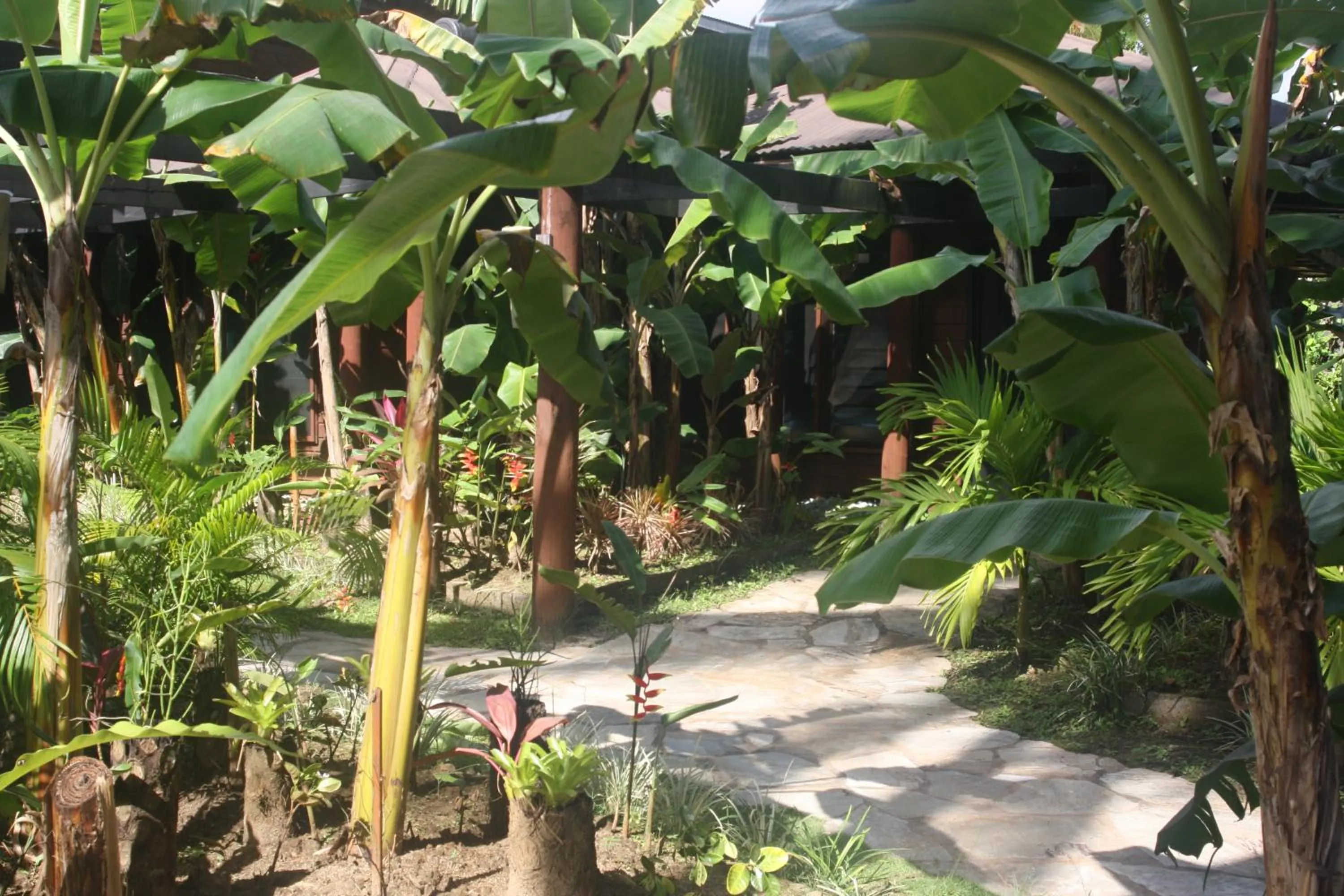 Day in Coconuts Beach Club Resort and Spa