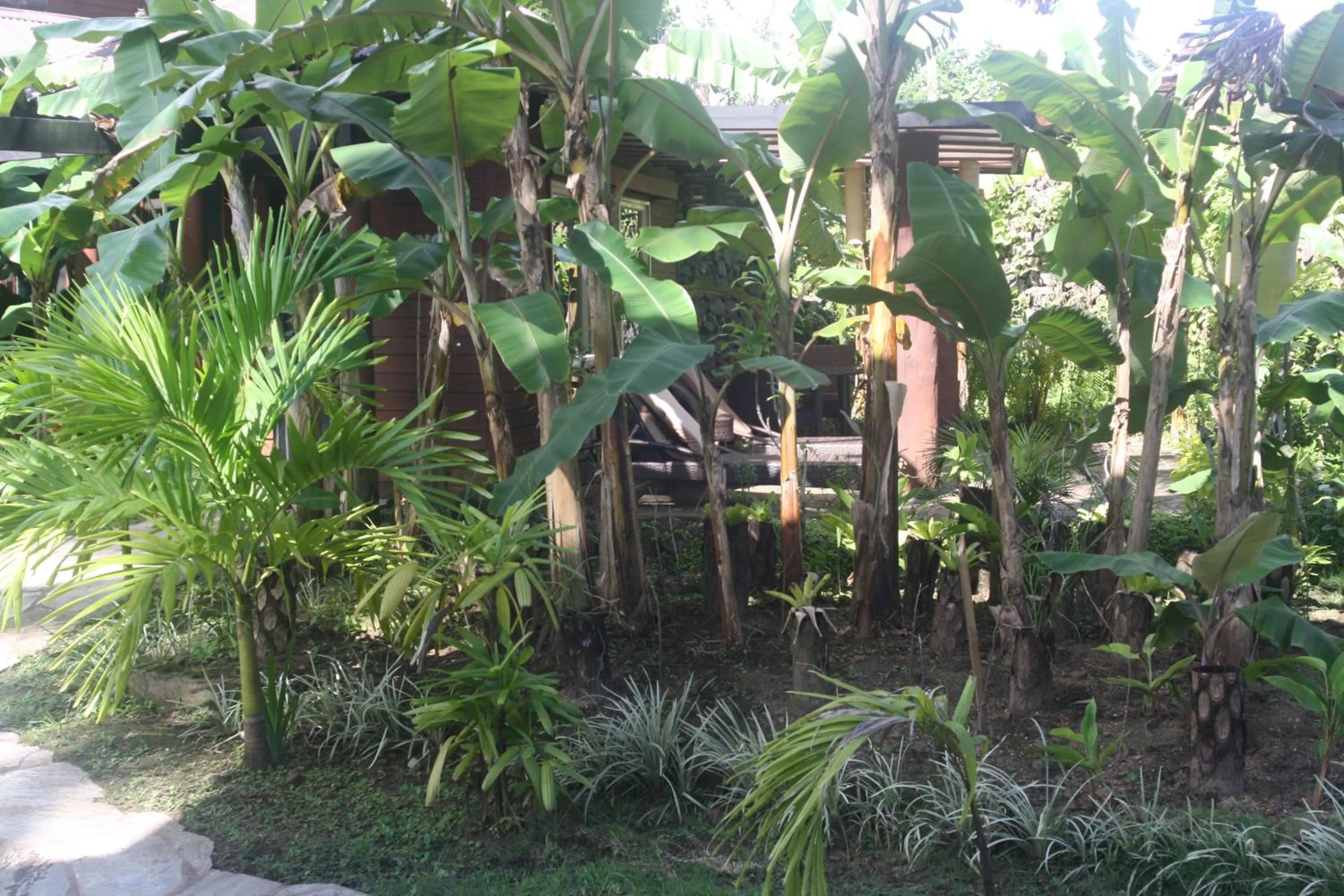 Day in Coconuts Beach Club Resort and Spa