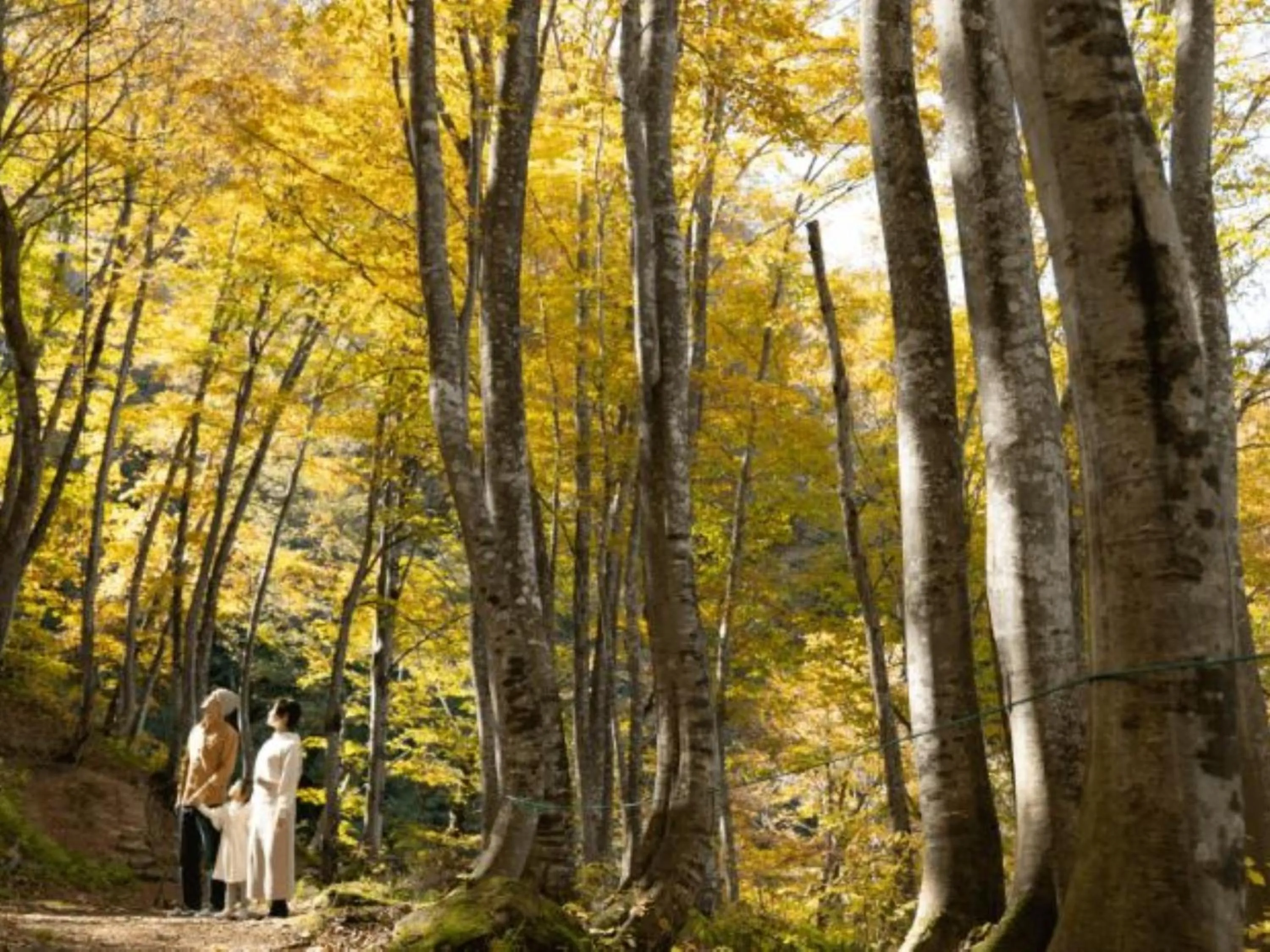 Nearby landmark in Shosenkaku Kagetsu