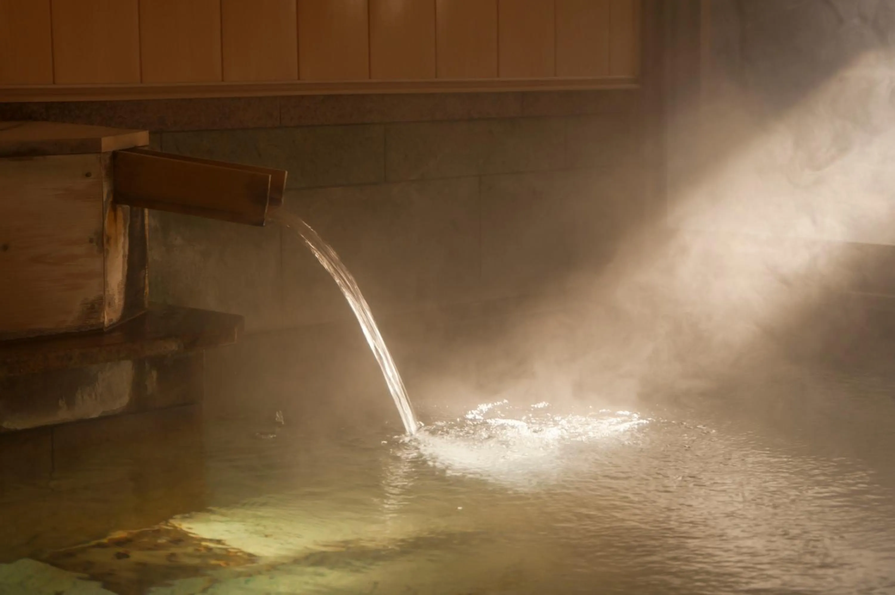 Hot Spring Bath in Shosenkaku Kagetsu