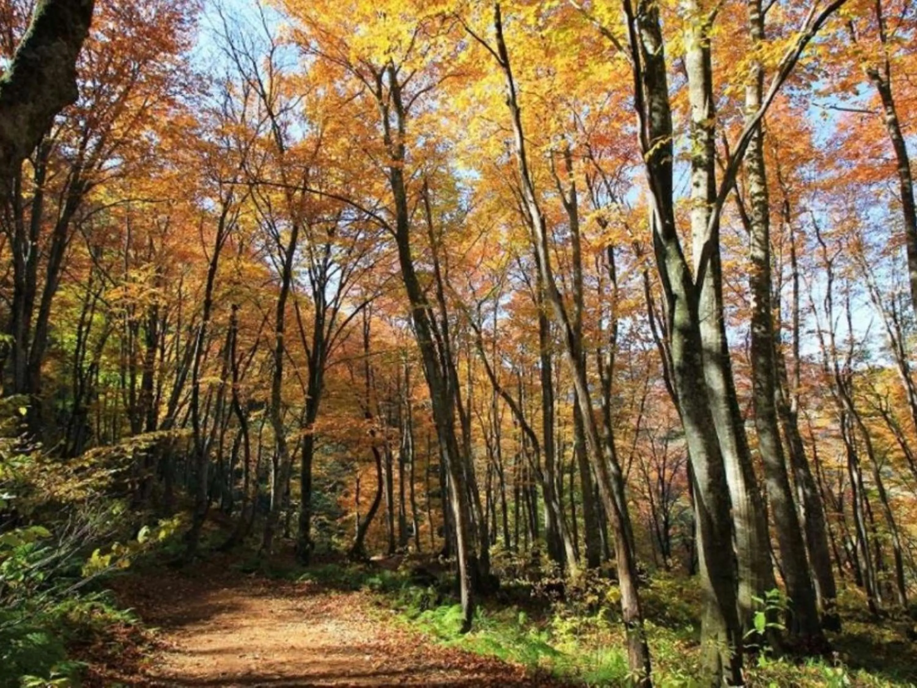 Nearby landmark in Shosenkaku Kagetsu