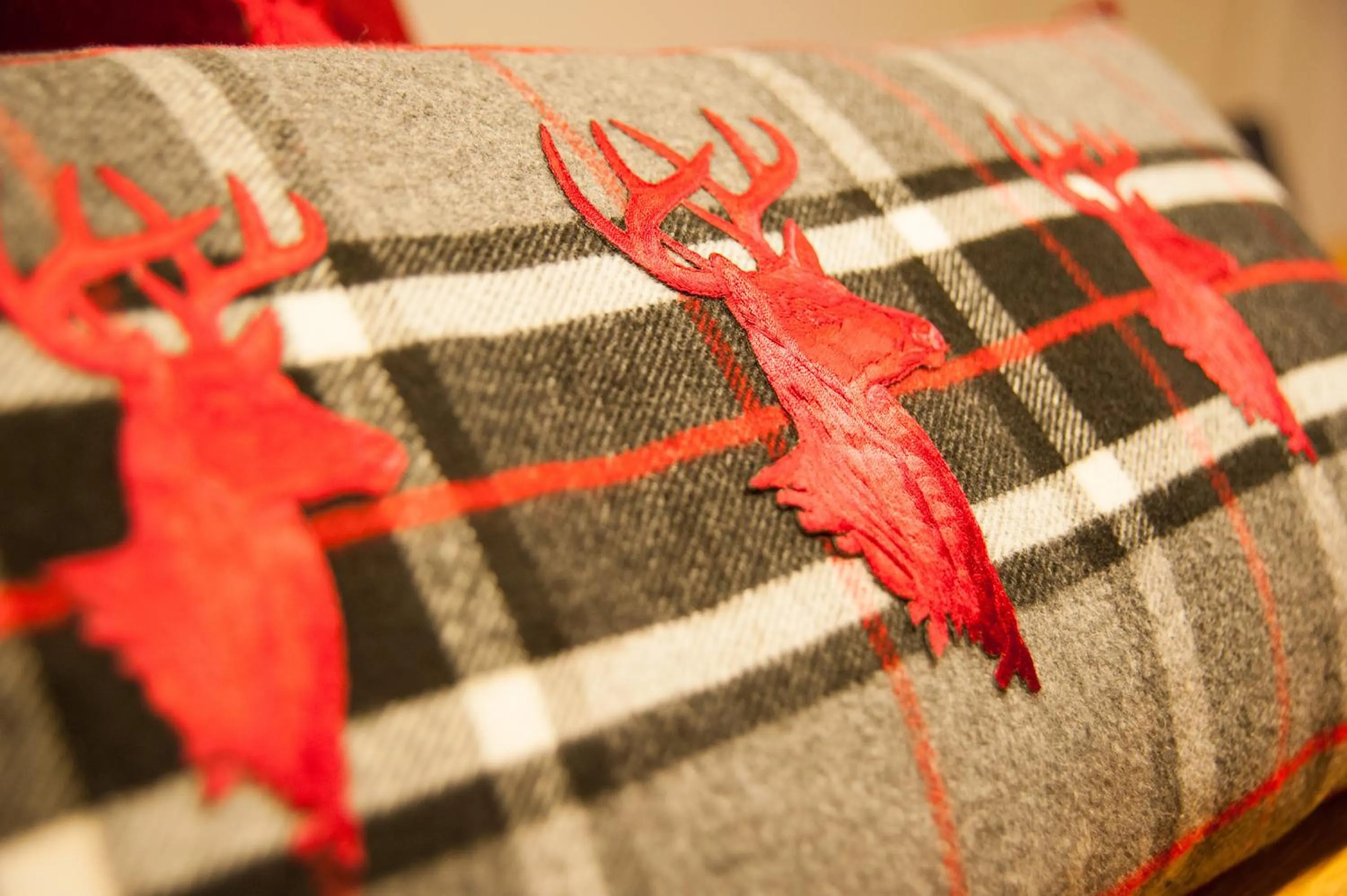 Decorative detail in Elite Alpine Lodge - Apart & Breakfast