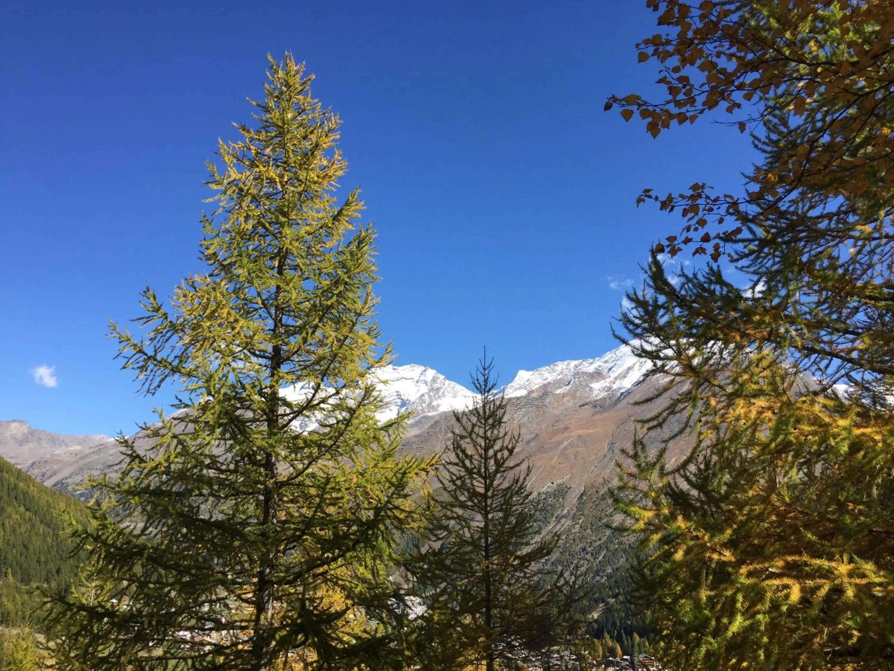 Natural landscape in Elite Alpine Lodge - Apart & Breakfast