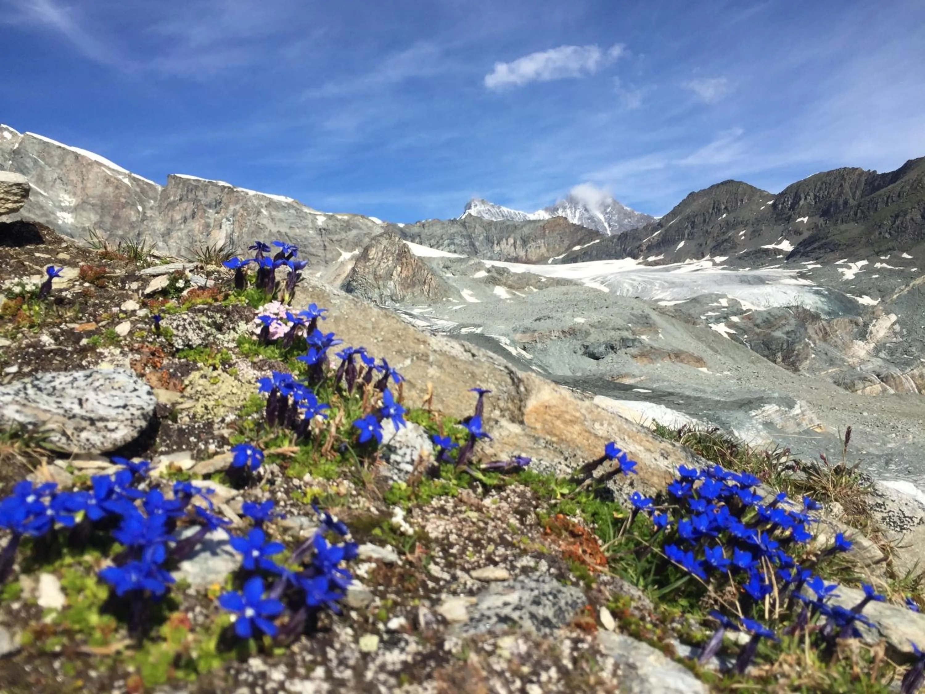 Hiking in Elite Alpine Lodge - Apart & Breakfast
