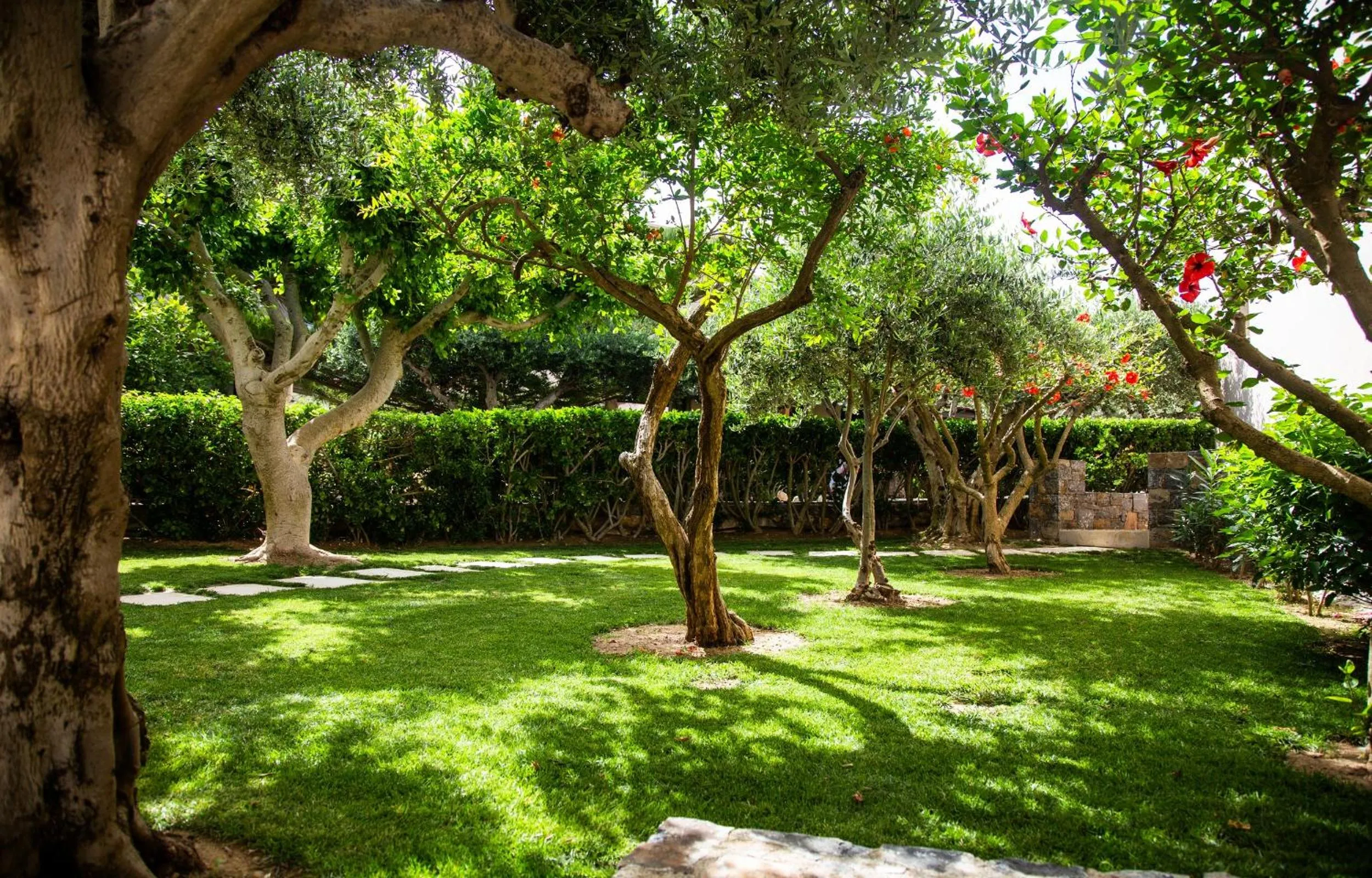 Garden in Paralos Irini Mare