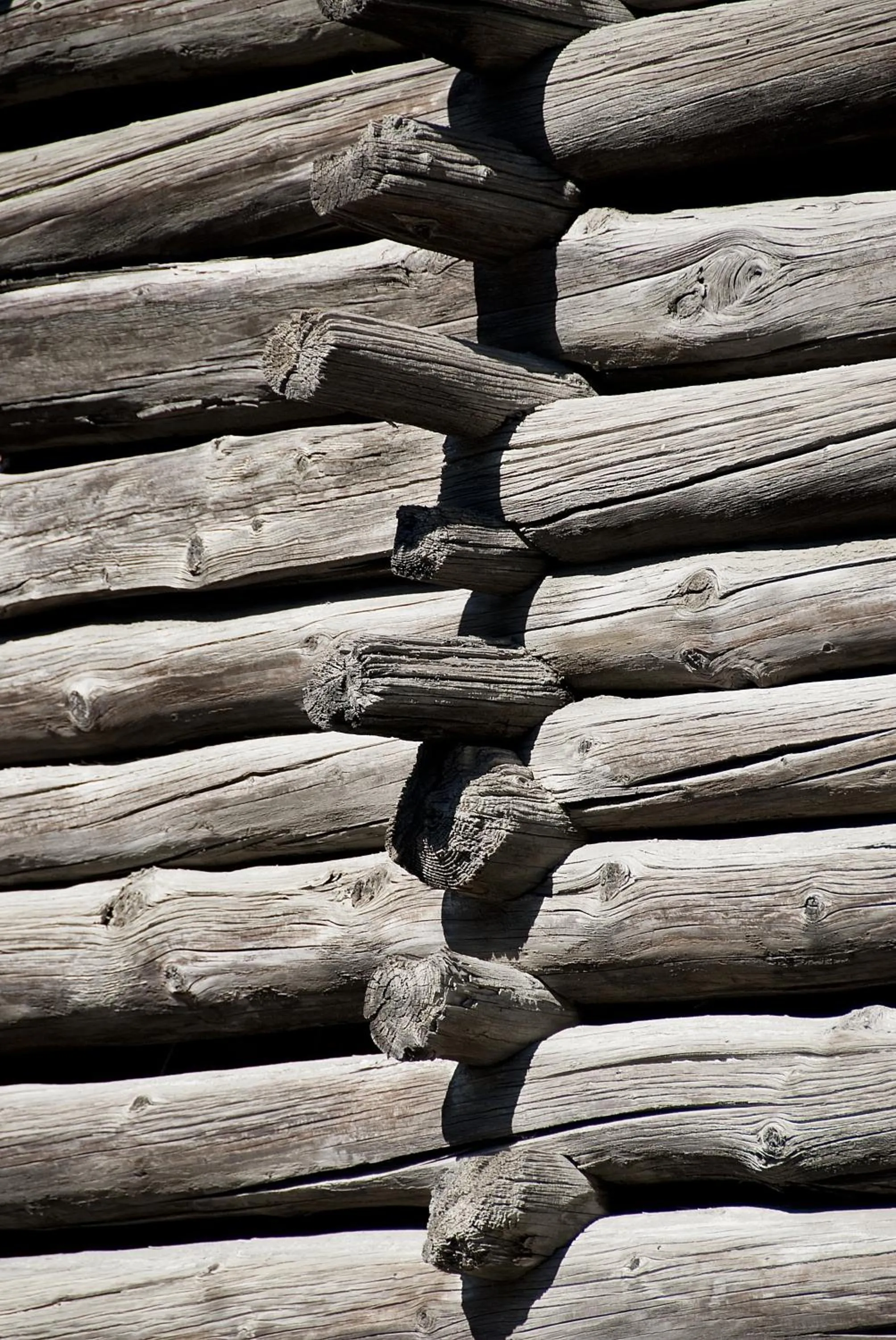 Decorative detail in Miramonti