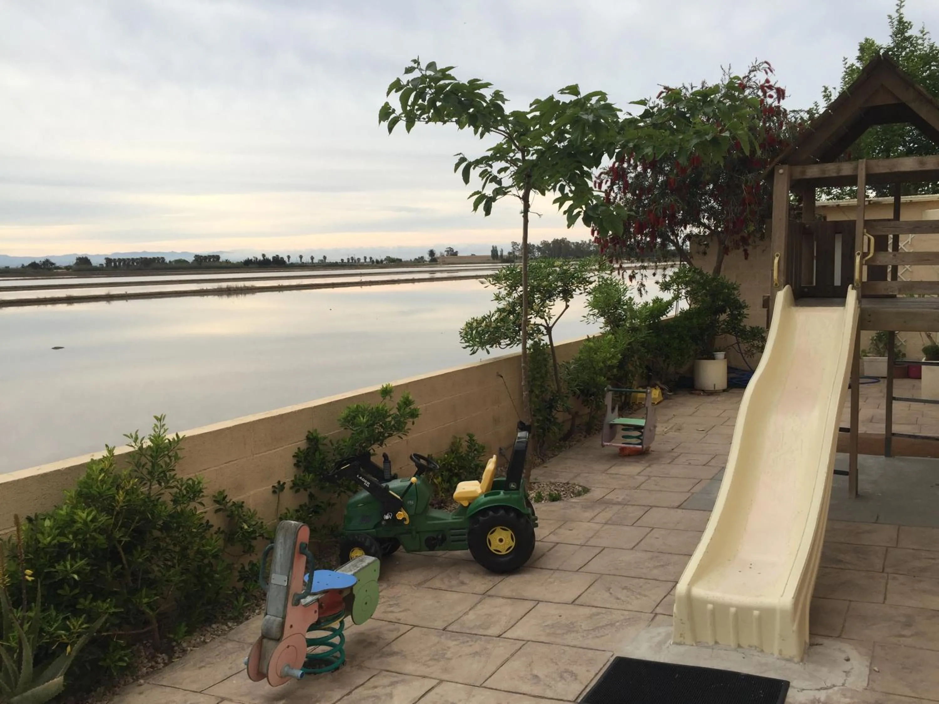 Garden in Hotel Mediterrani Blau