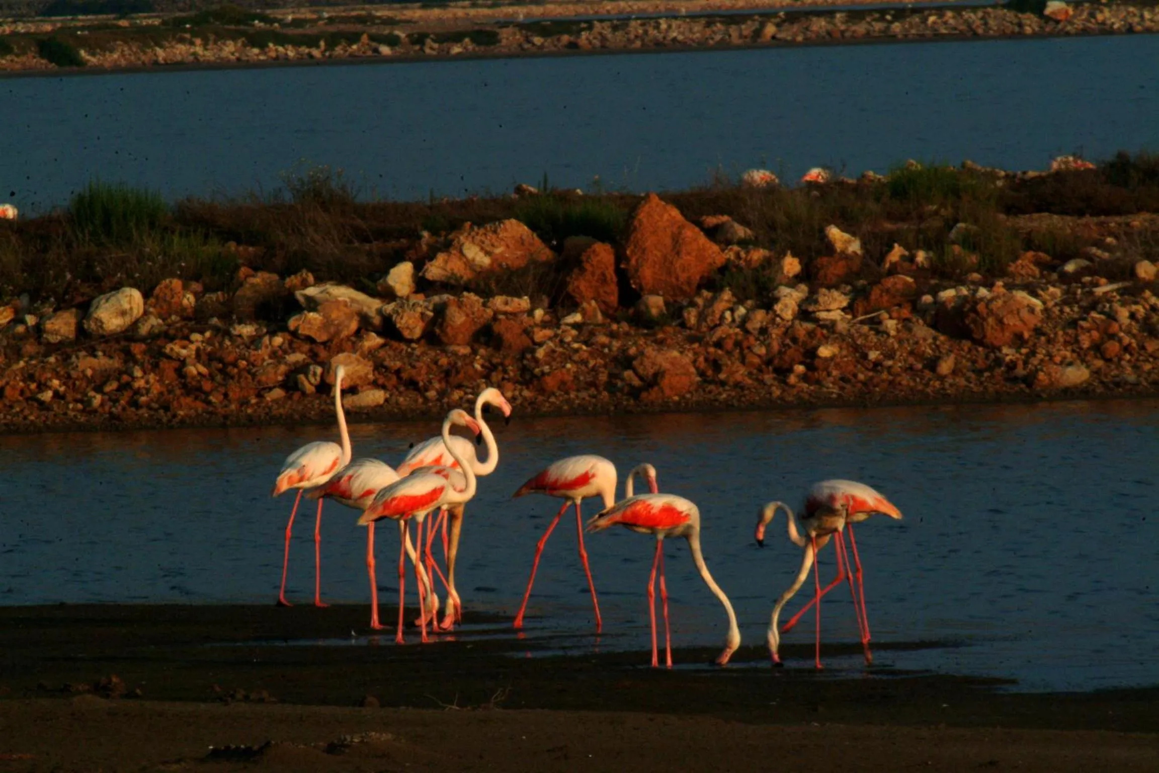 Other in Hotel Mediterrani Blau