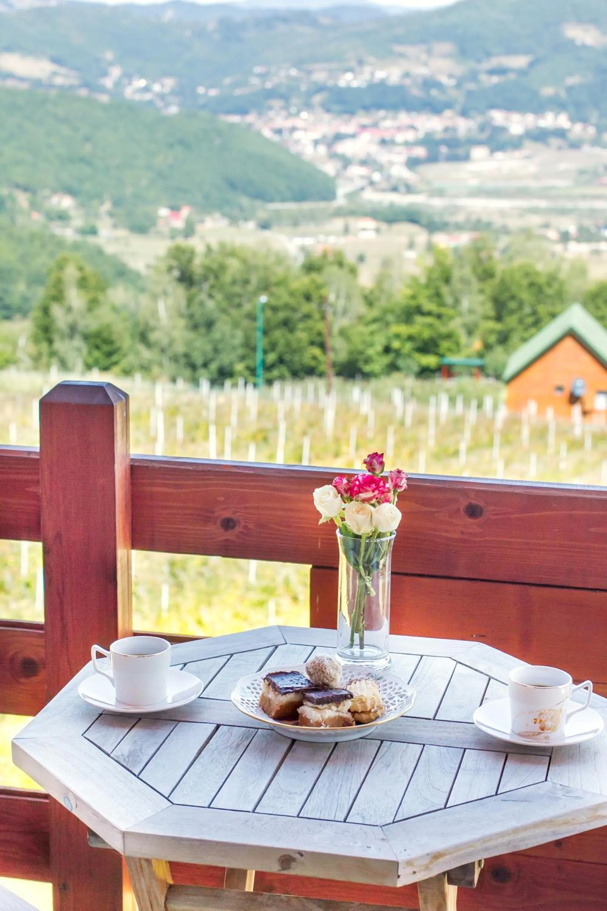 Balcony/Terrace in Hotel & Resort Gacka