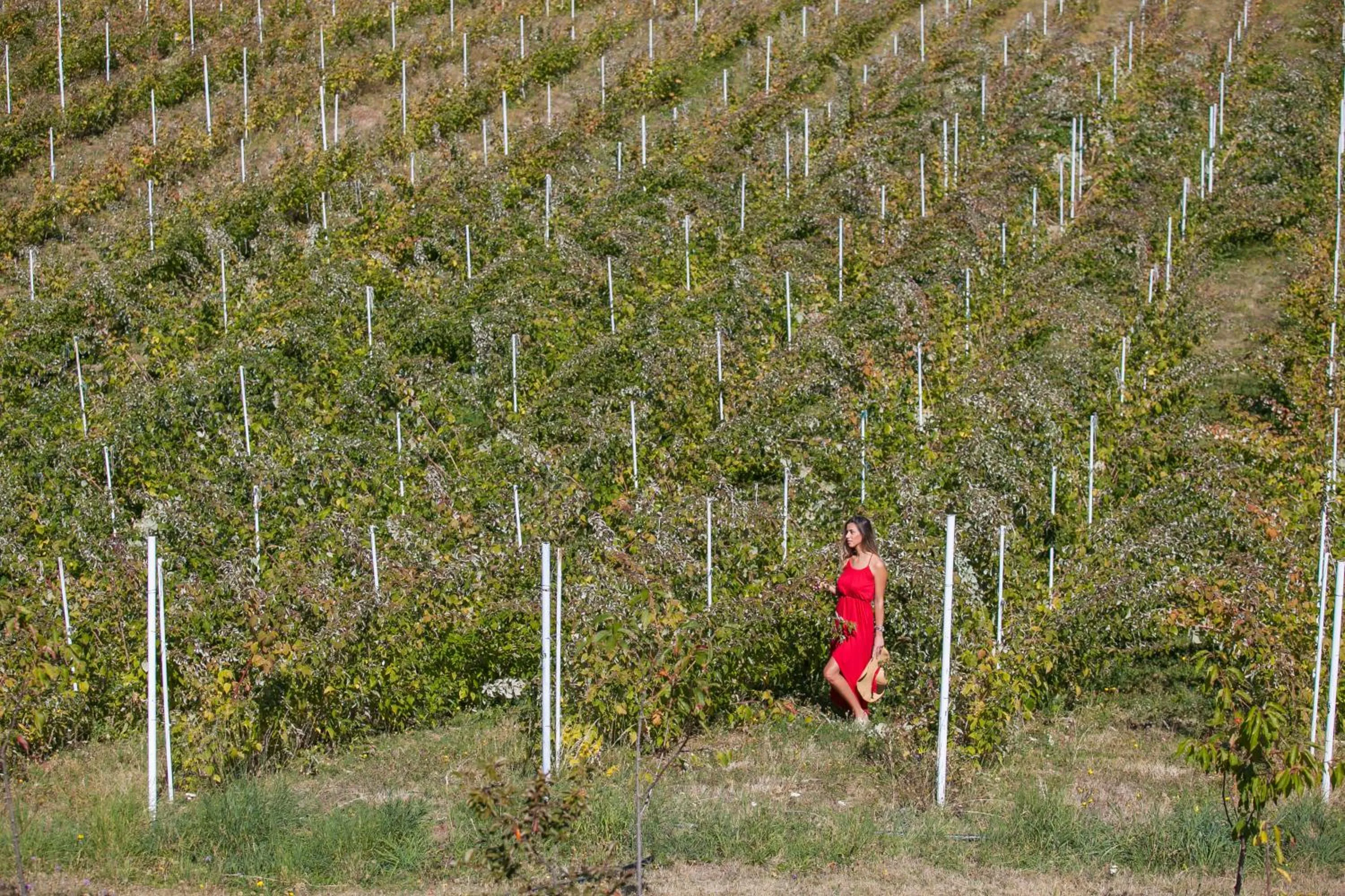 Natural landscape in Hotel & Resort Gacka