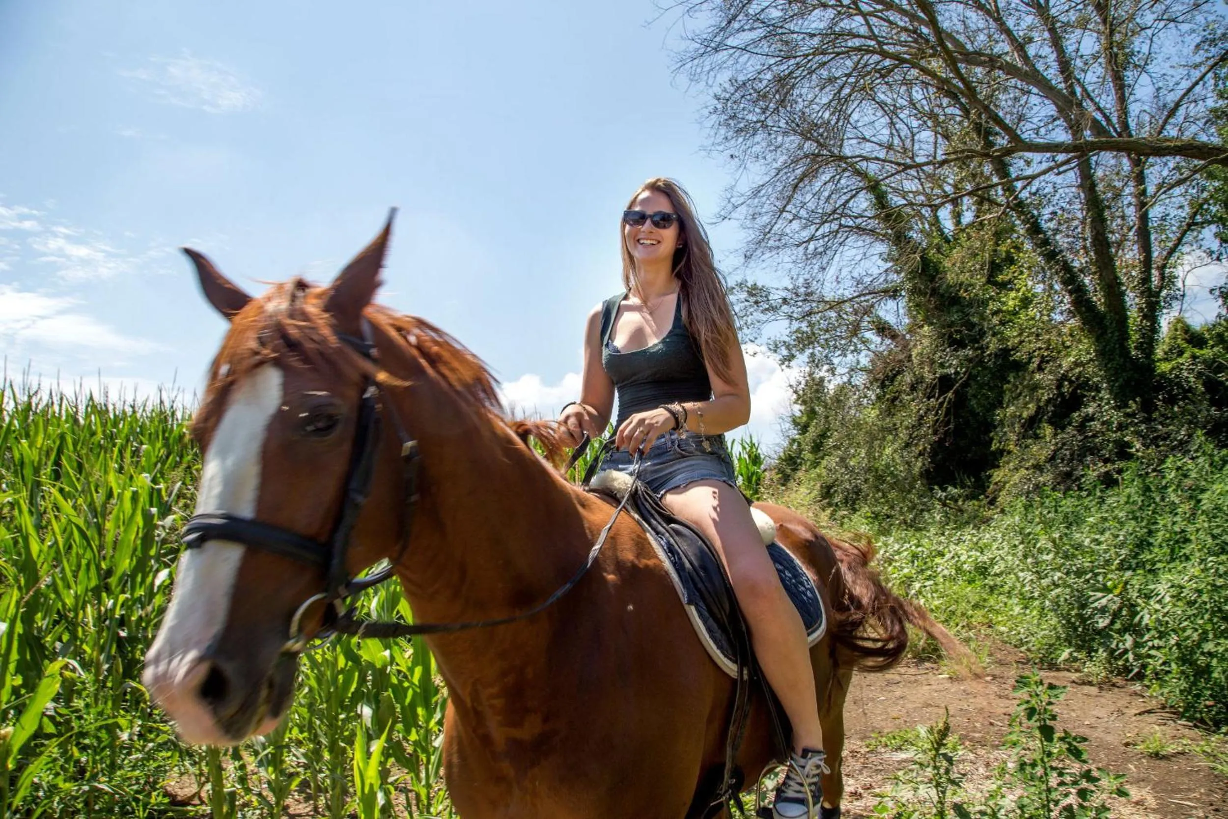 Day in Agriturismo 4 Ricci