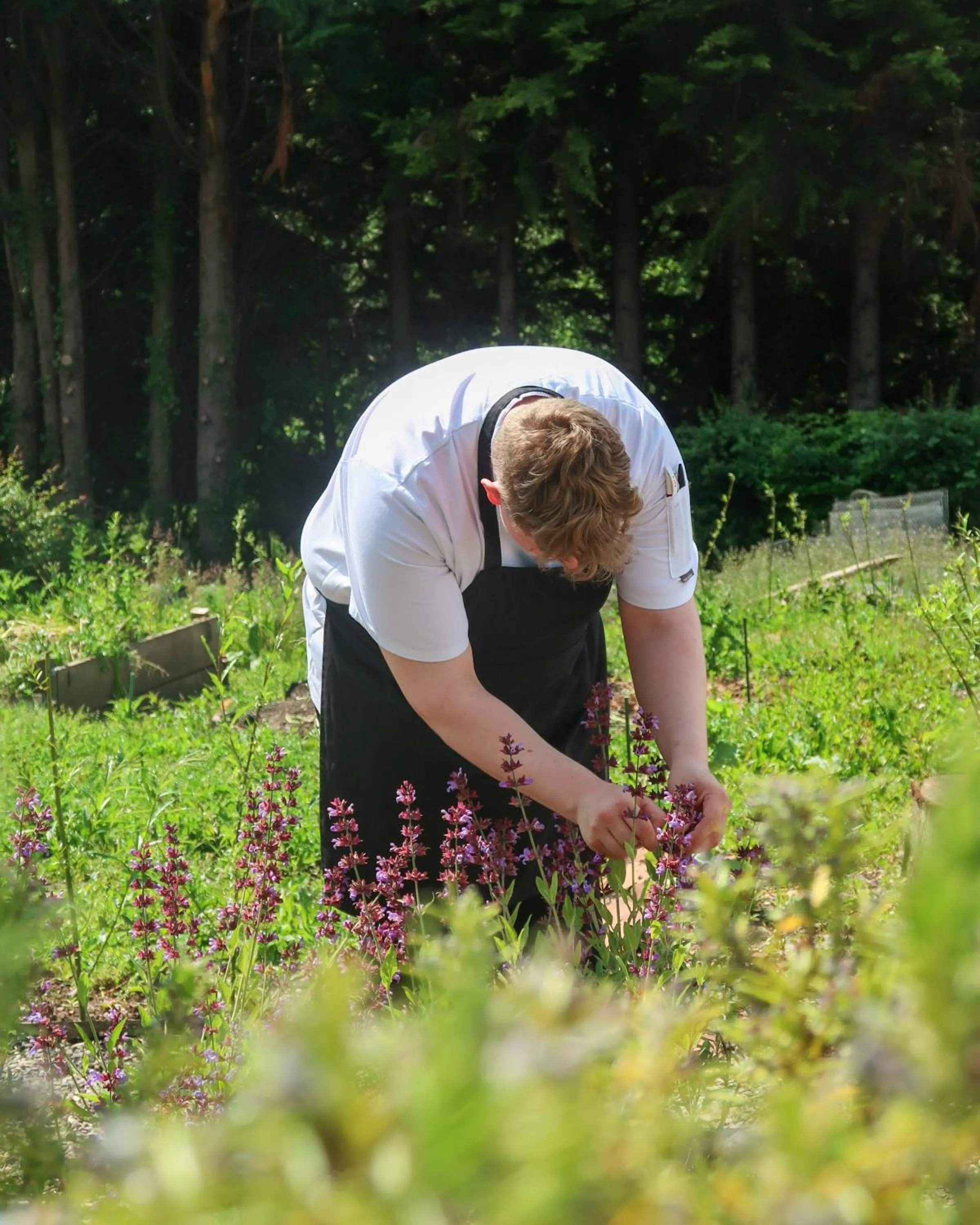 Garden in Rufflets St Andrews