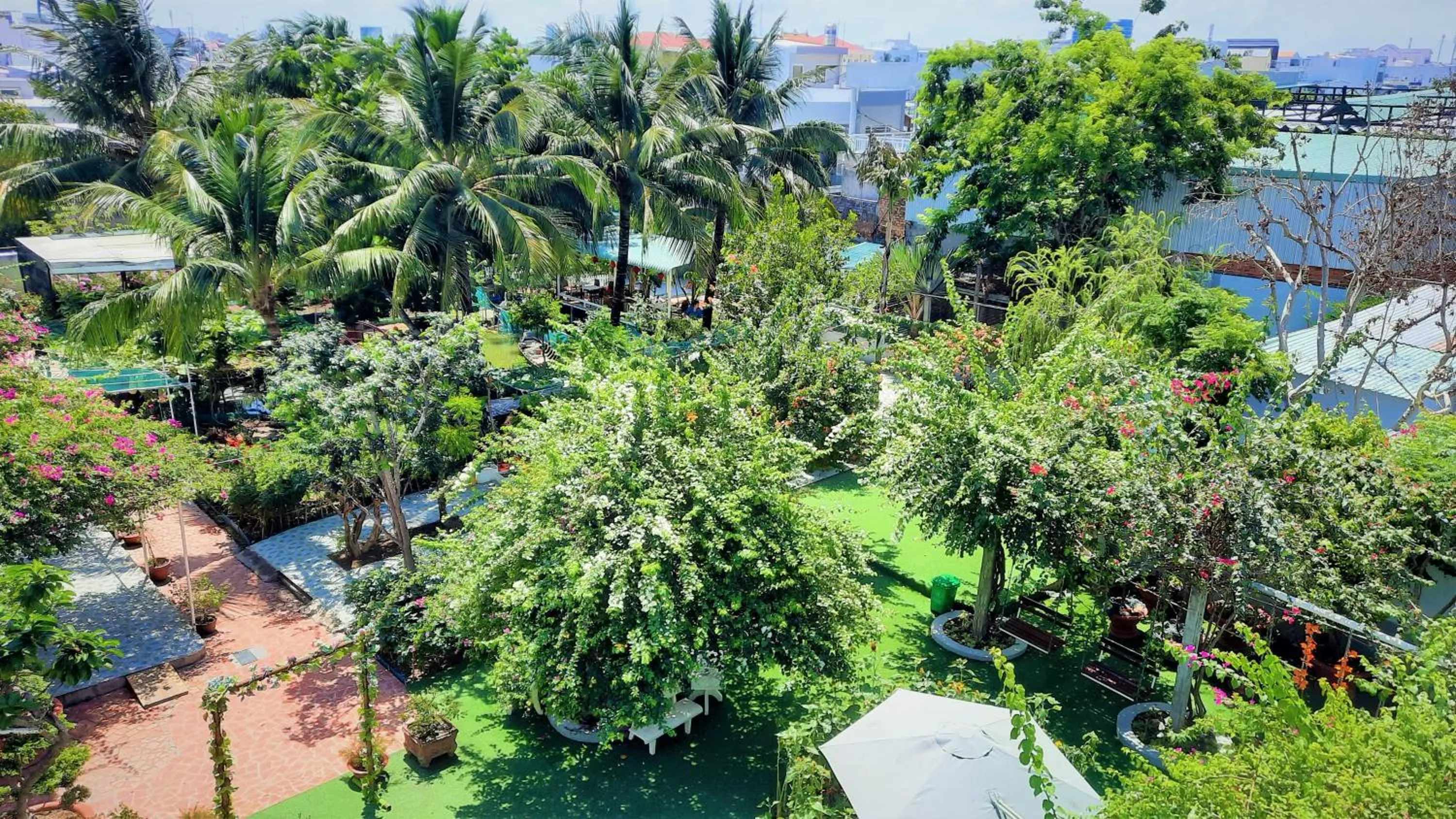 Natural landscape in Thanh Dat Resort