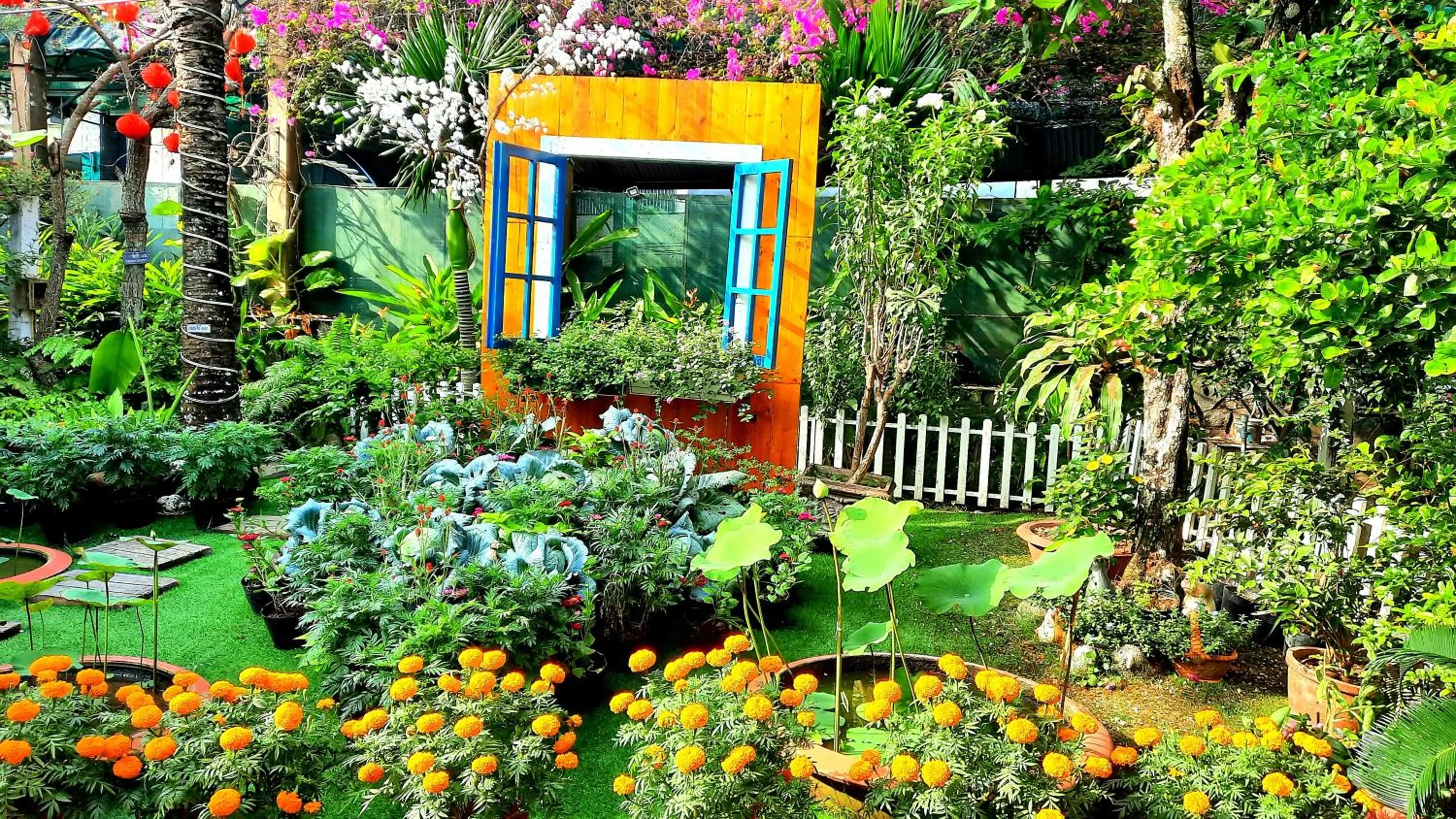 Natural landscape in Thanh Dat Resort