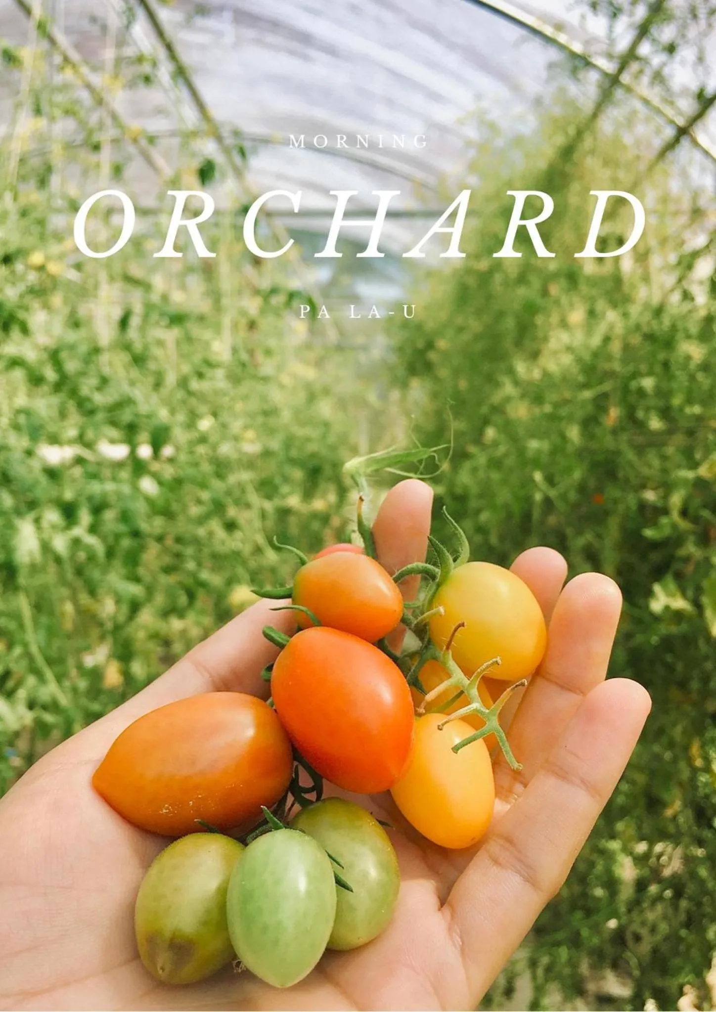 Garden in Orchard Pa La U