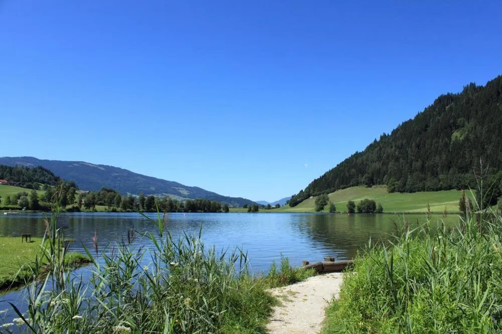 Natural landscape in Pension Glitschnerhof