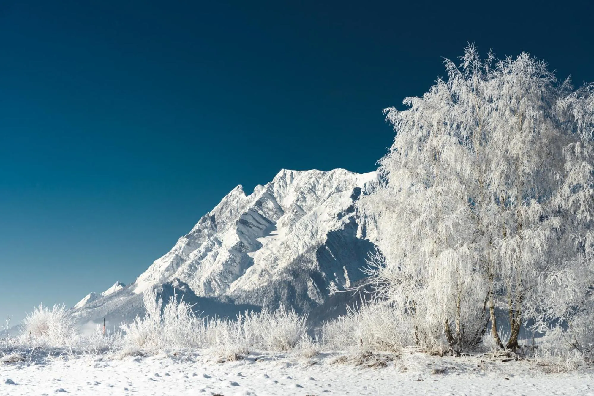 Natural landscape in Pension Glitschnerhof