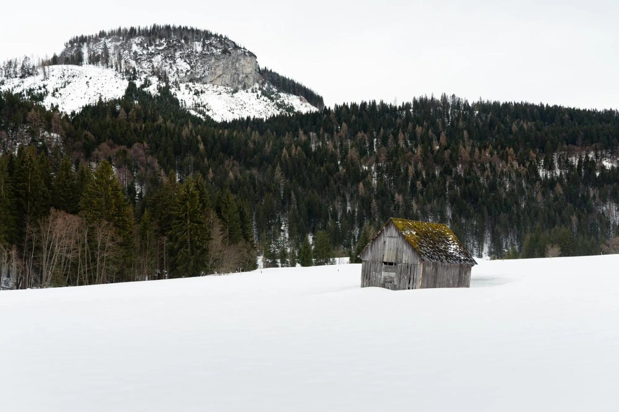 Winter in Pension Glitschnerhof