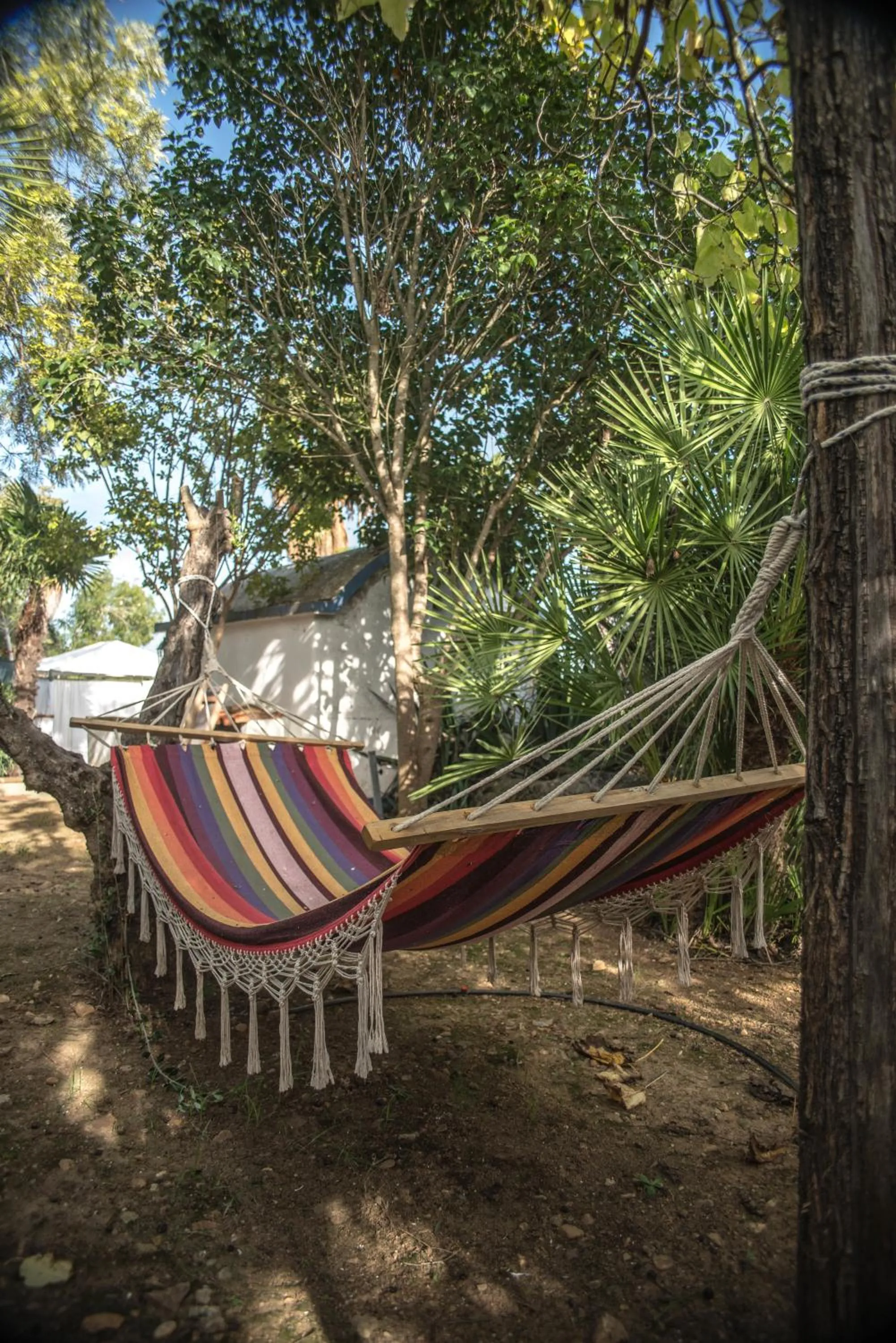 Garden in Monte Alerta Turismo Rural