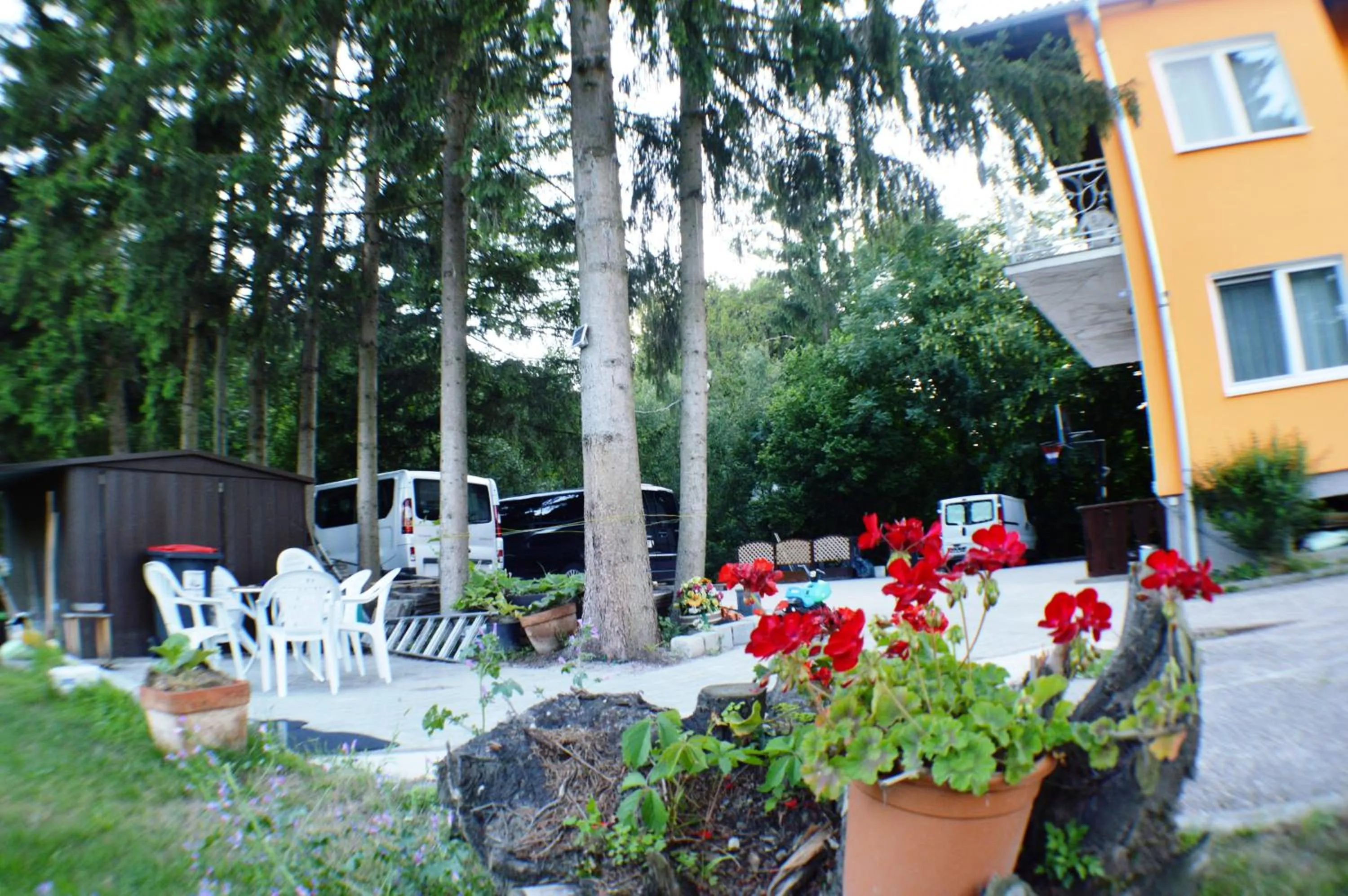 Patio in Hotel Austria