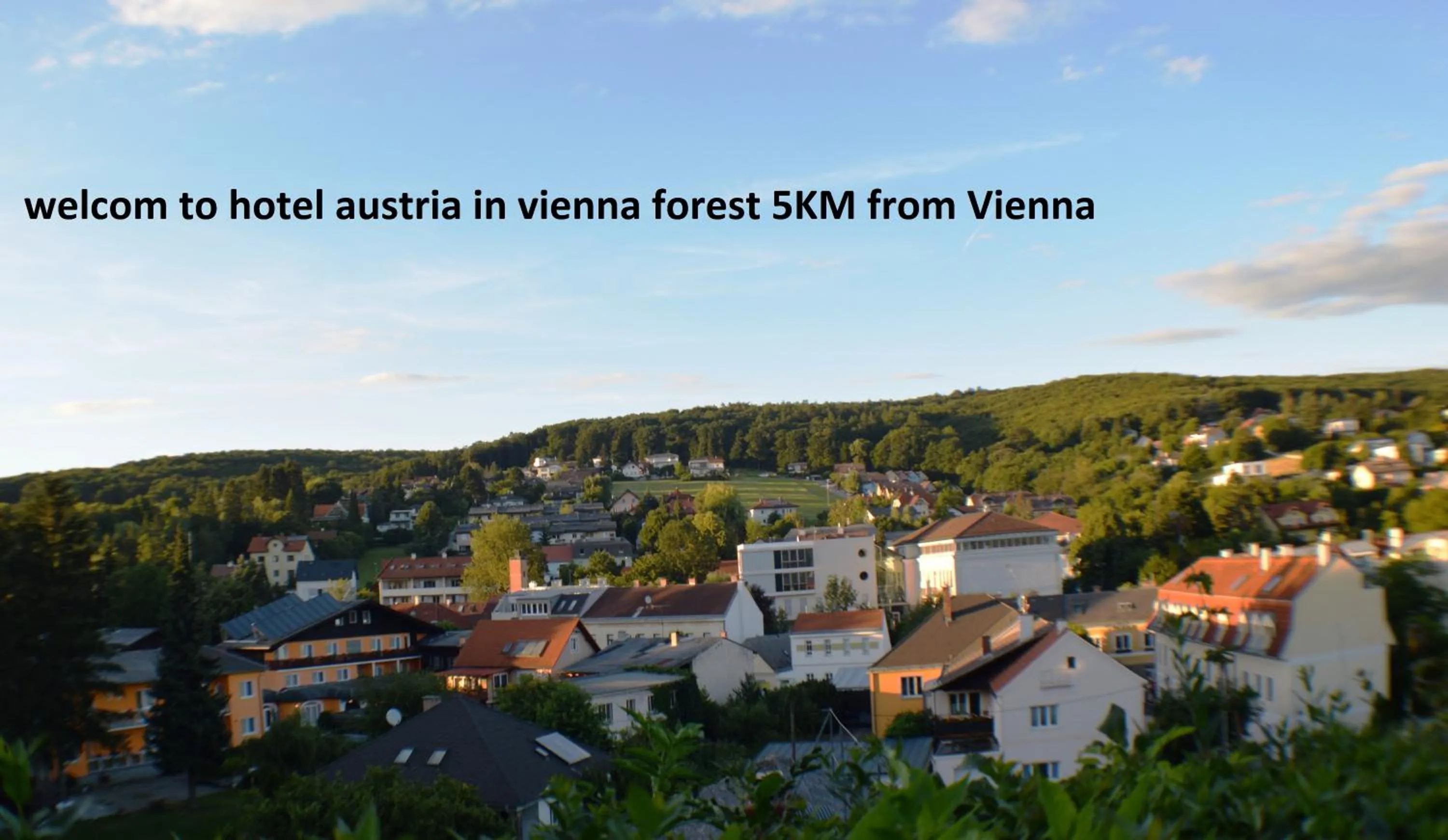 Mountain view in Hotel Austria