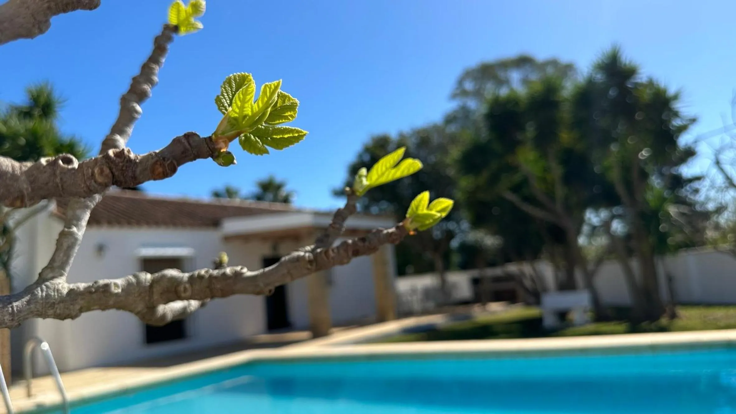 Spring in Vivienda Rural Atlántico Sur & Familias