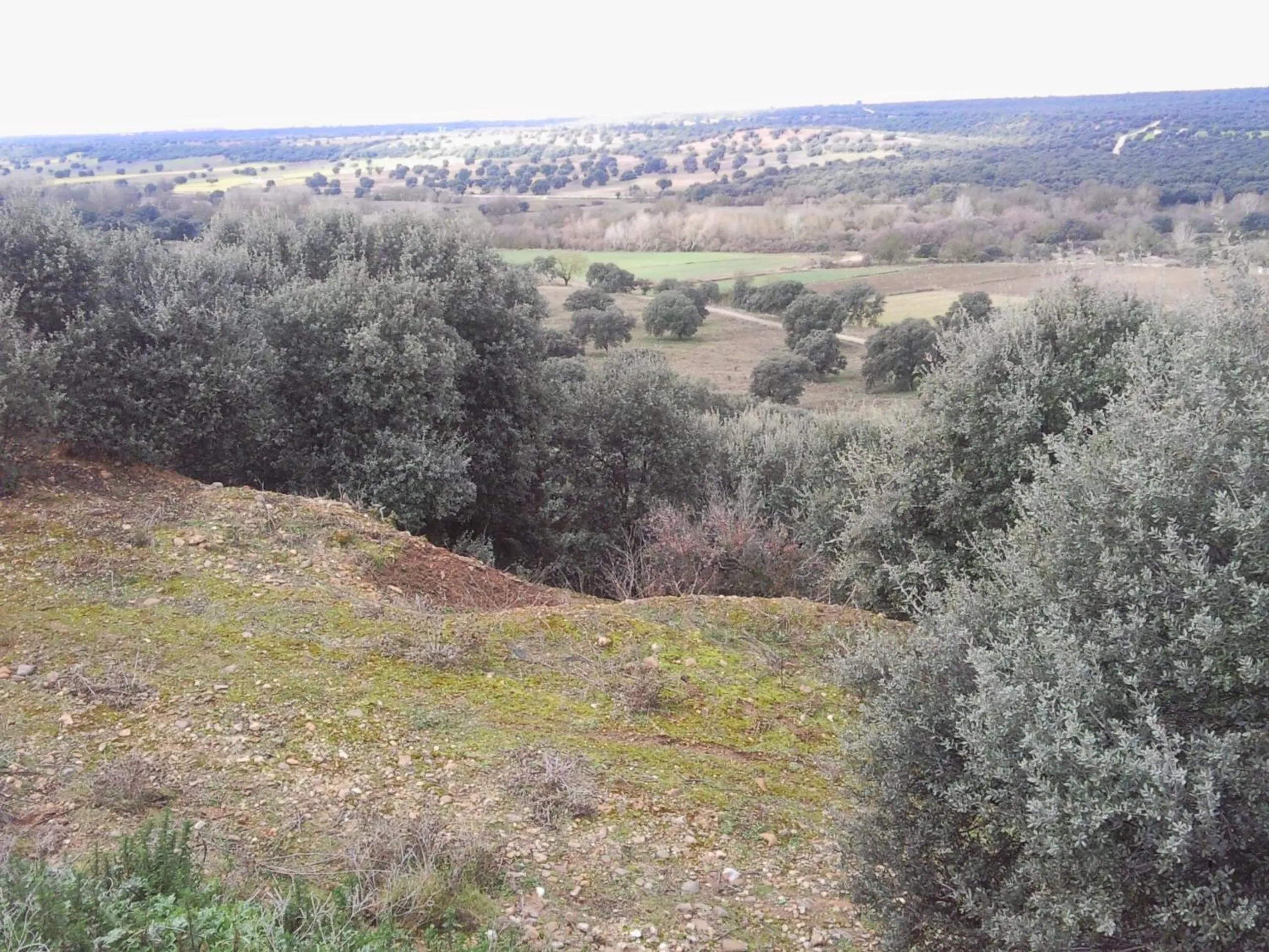 Property building in Posada La Reja