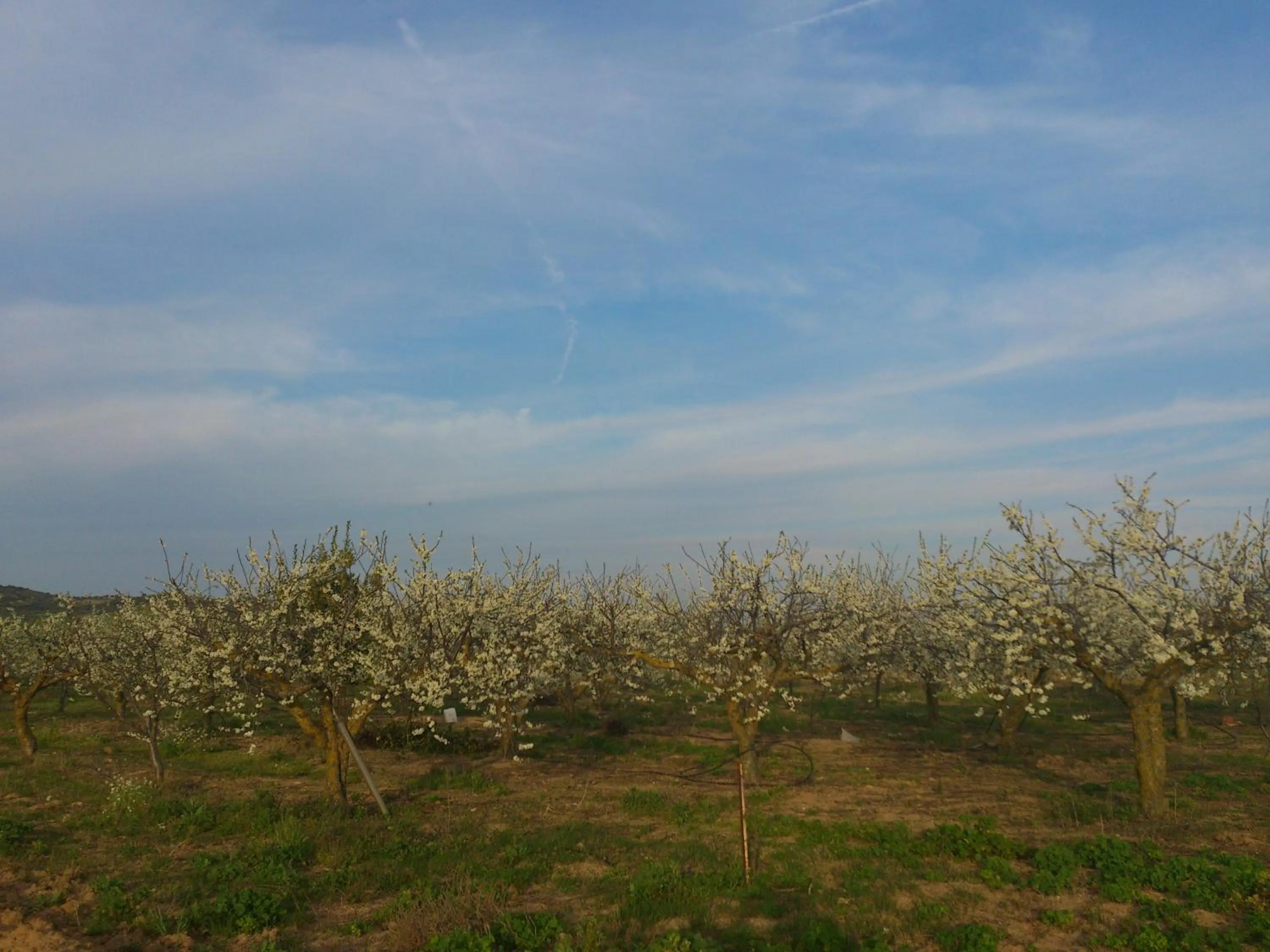 Property building in Posada La Reja