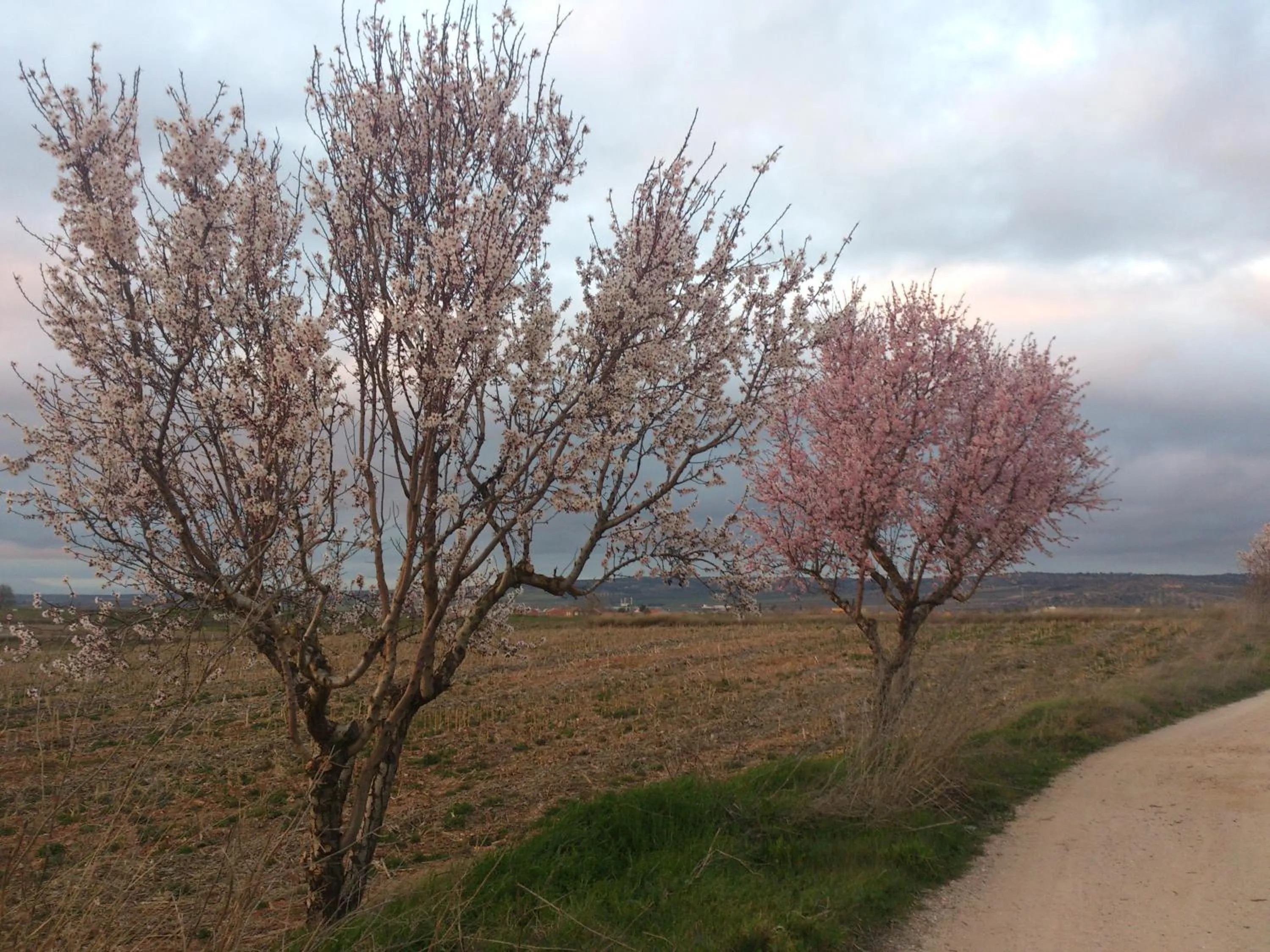 Natural landscape in Posada La Reja