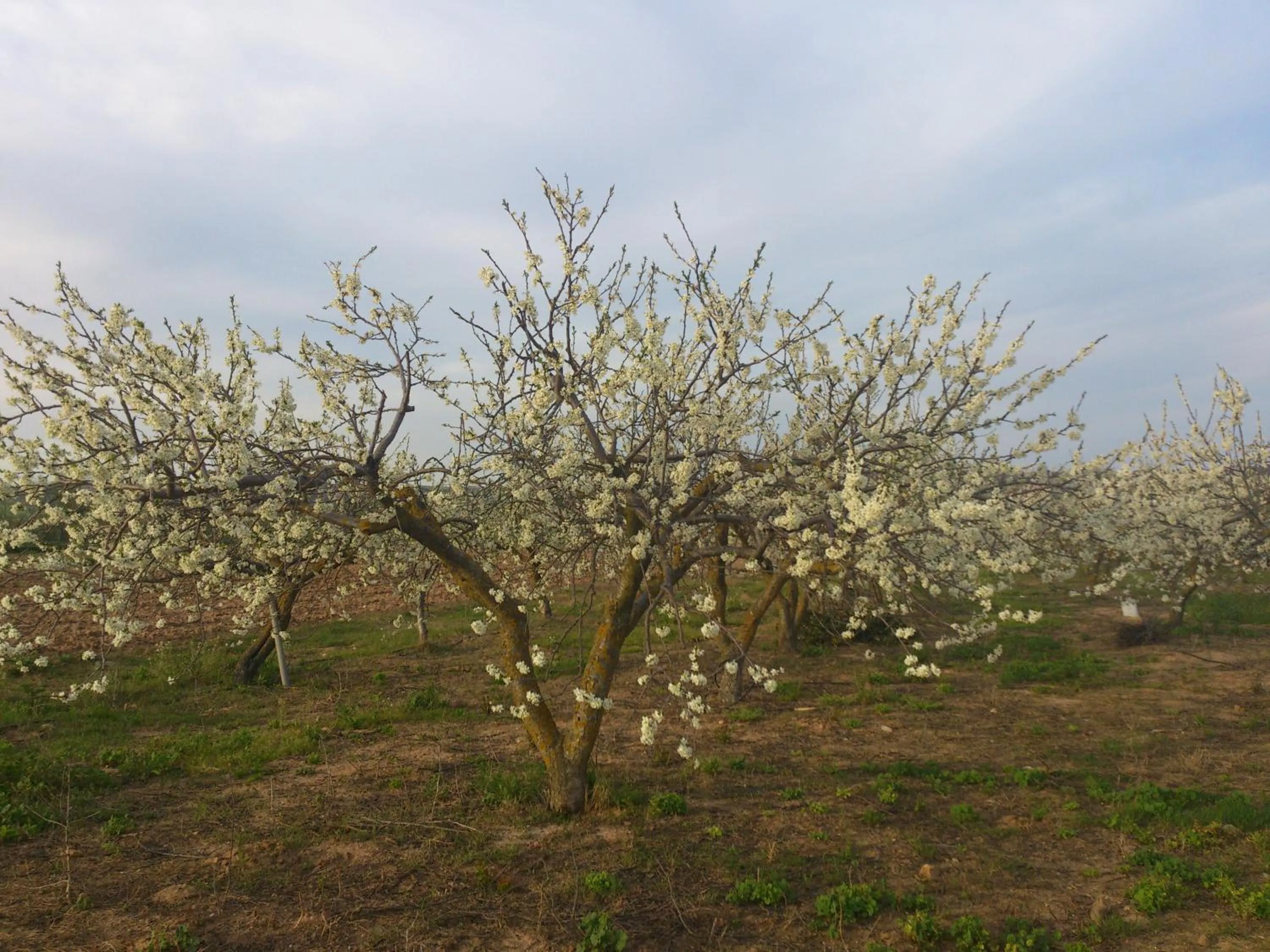 Property building in Posada La Reja