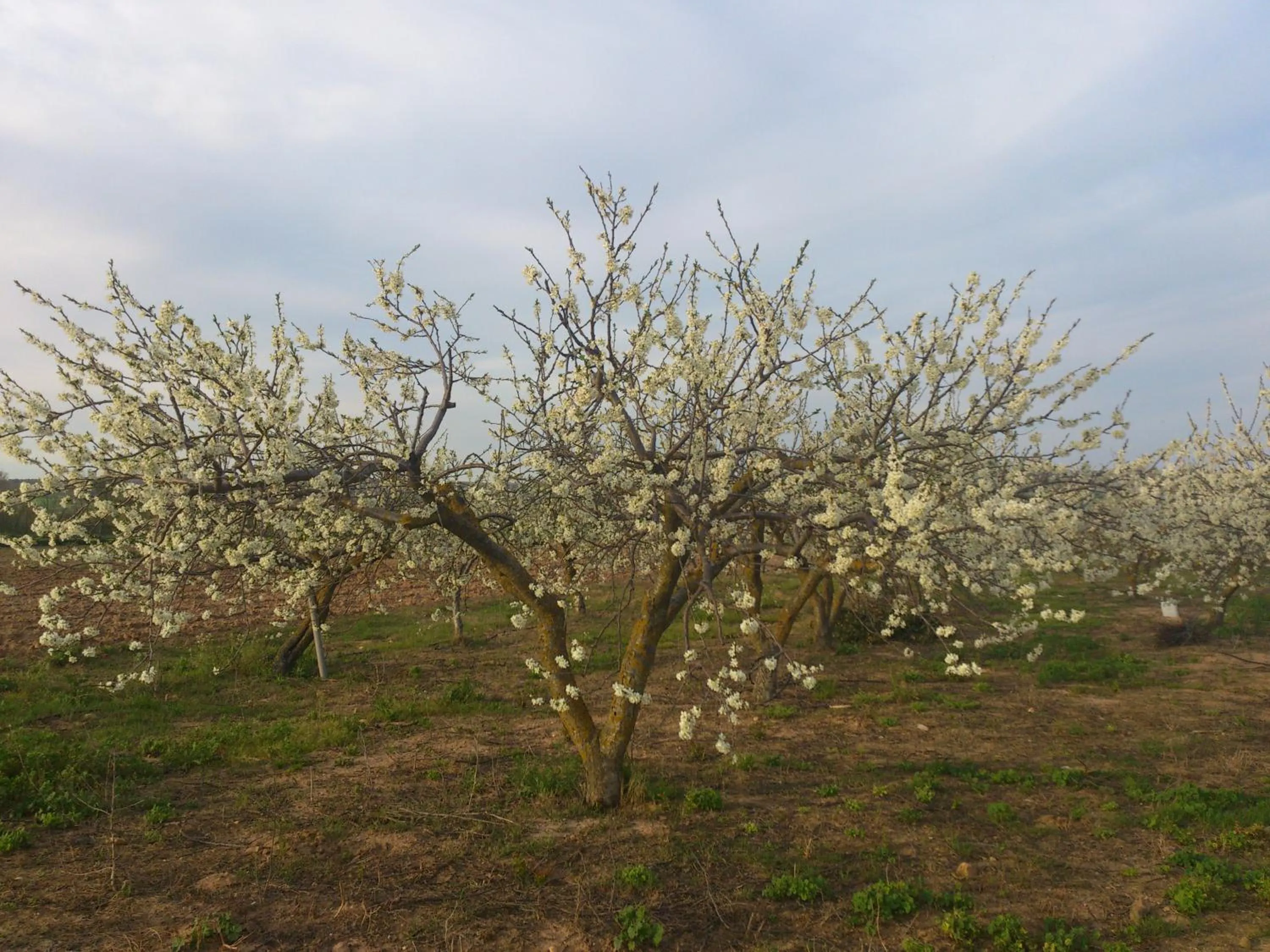 Property building in Posada La Reja