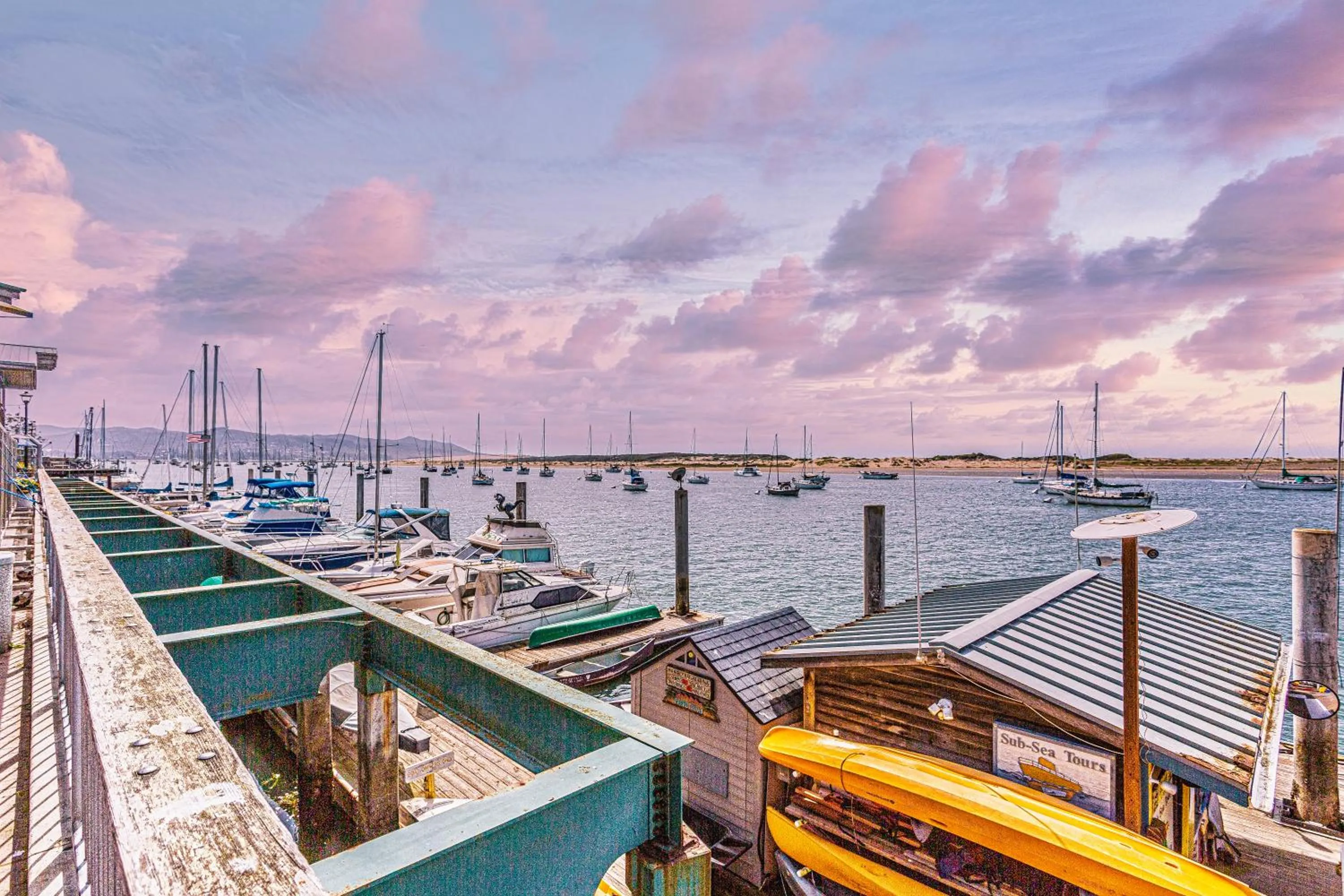 Natural landscape in Coastal Breeze Inn