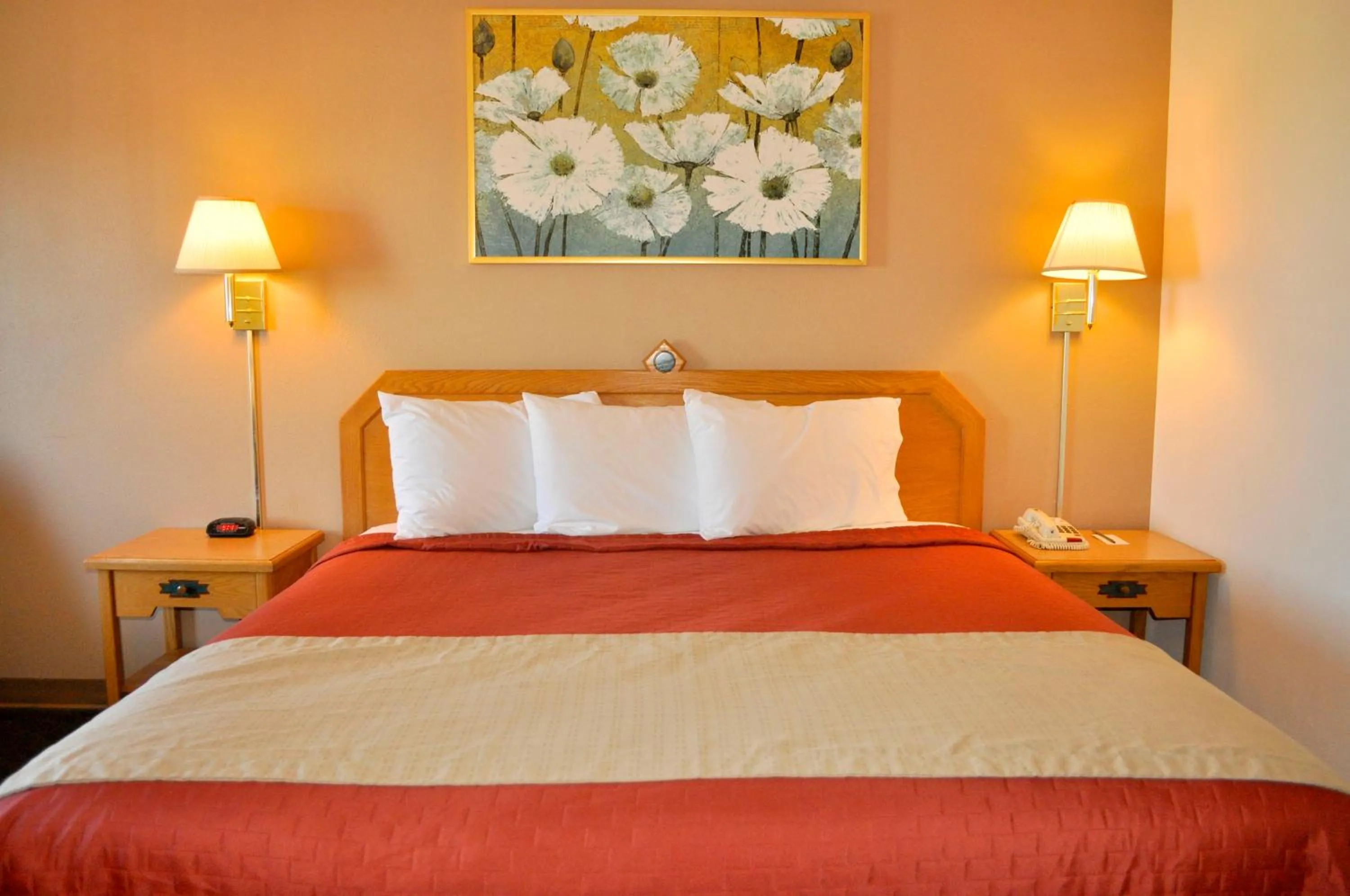 Bed in Wingate by Wyndham Farmington NM