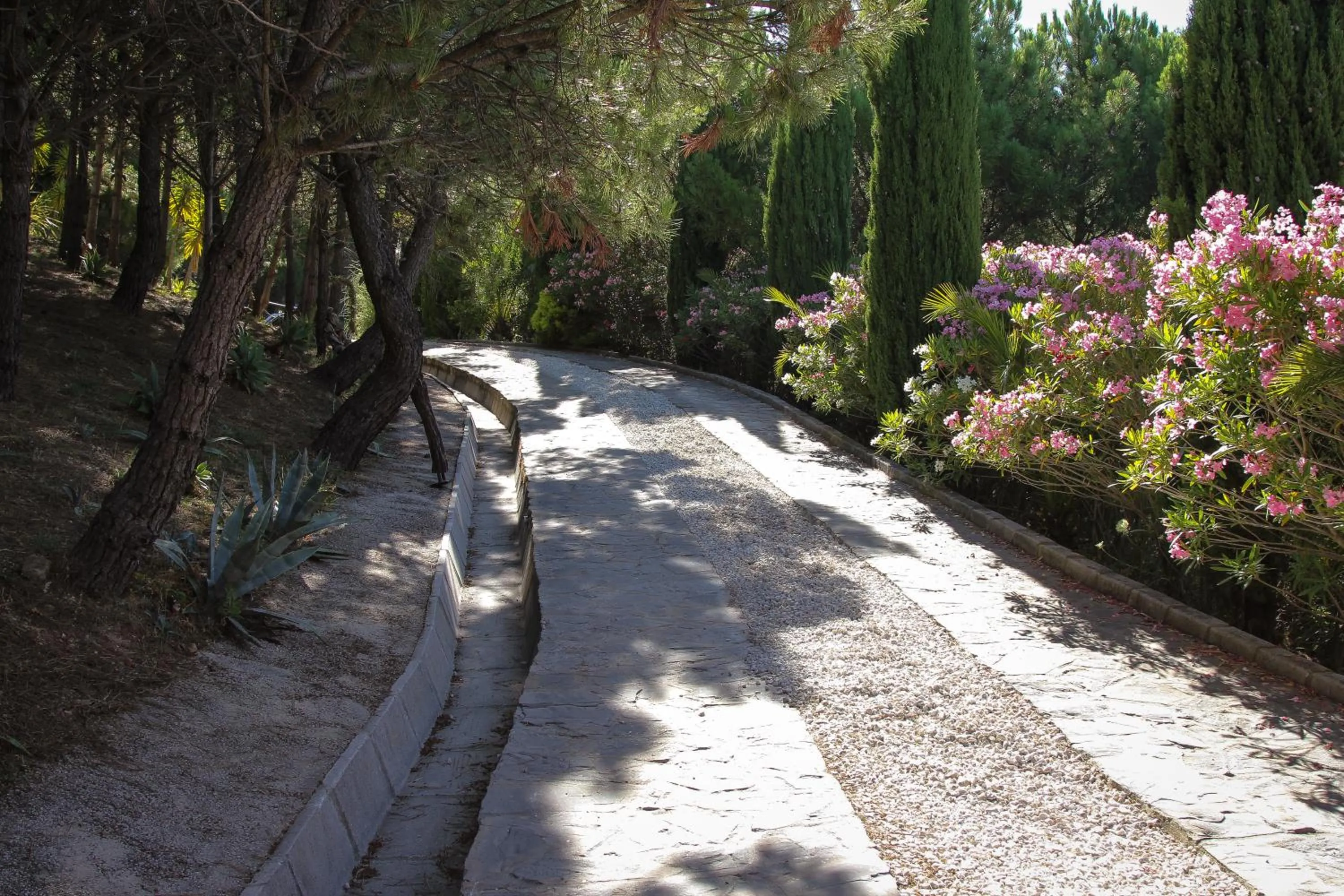 Natural landscape in DDG Retreat