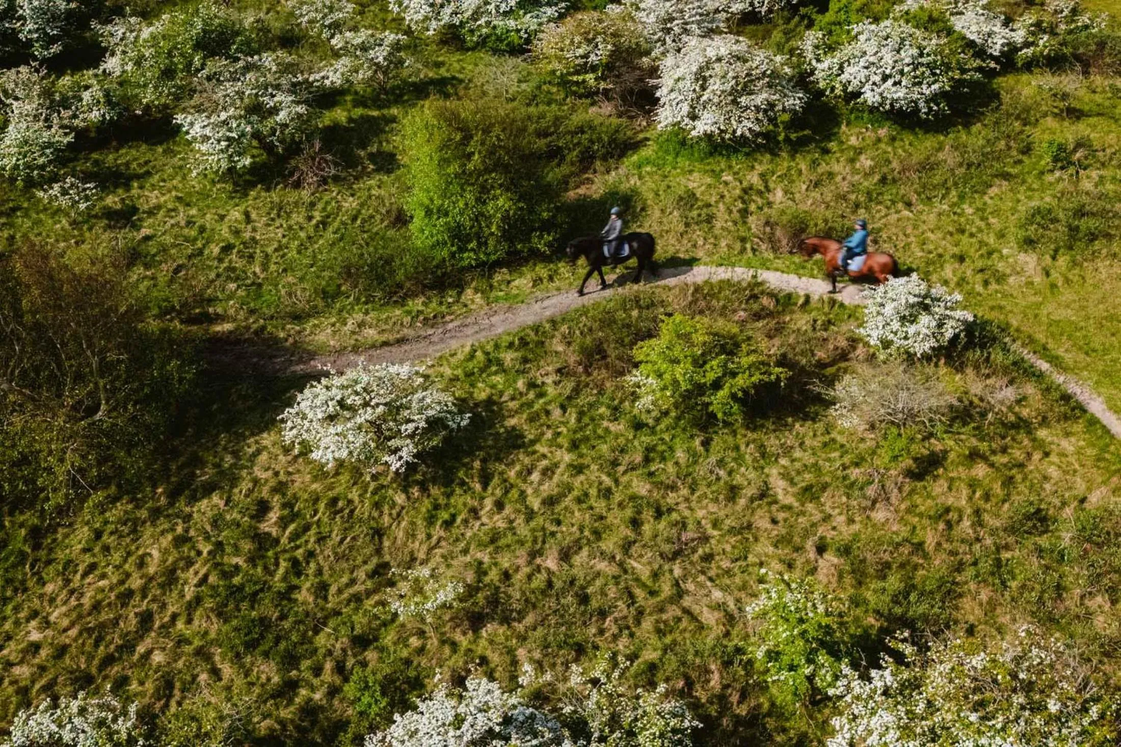 Natural landscape in Hotel das Miramar