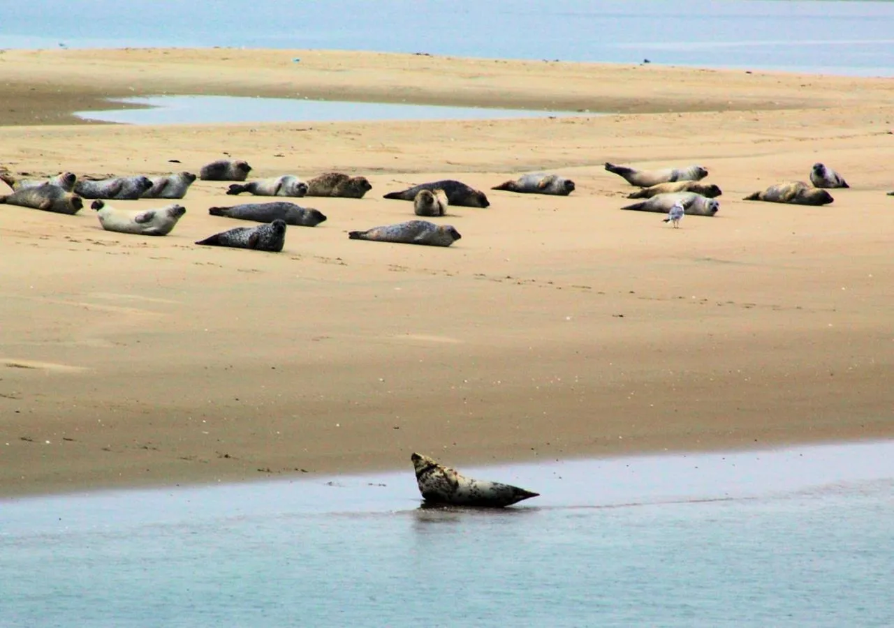 Natural landscape in Hotel das Miramar