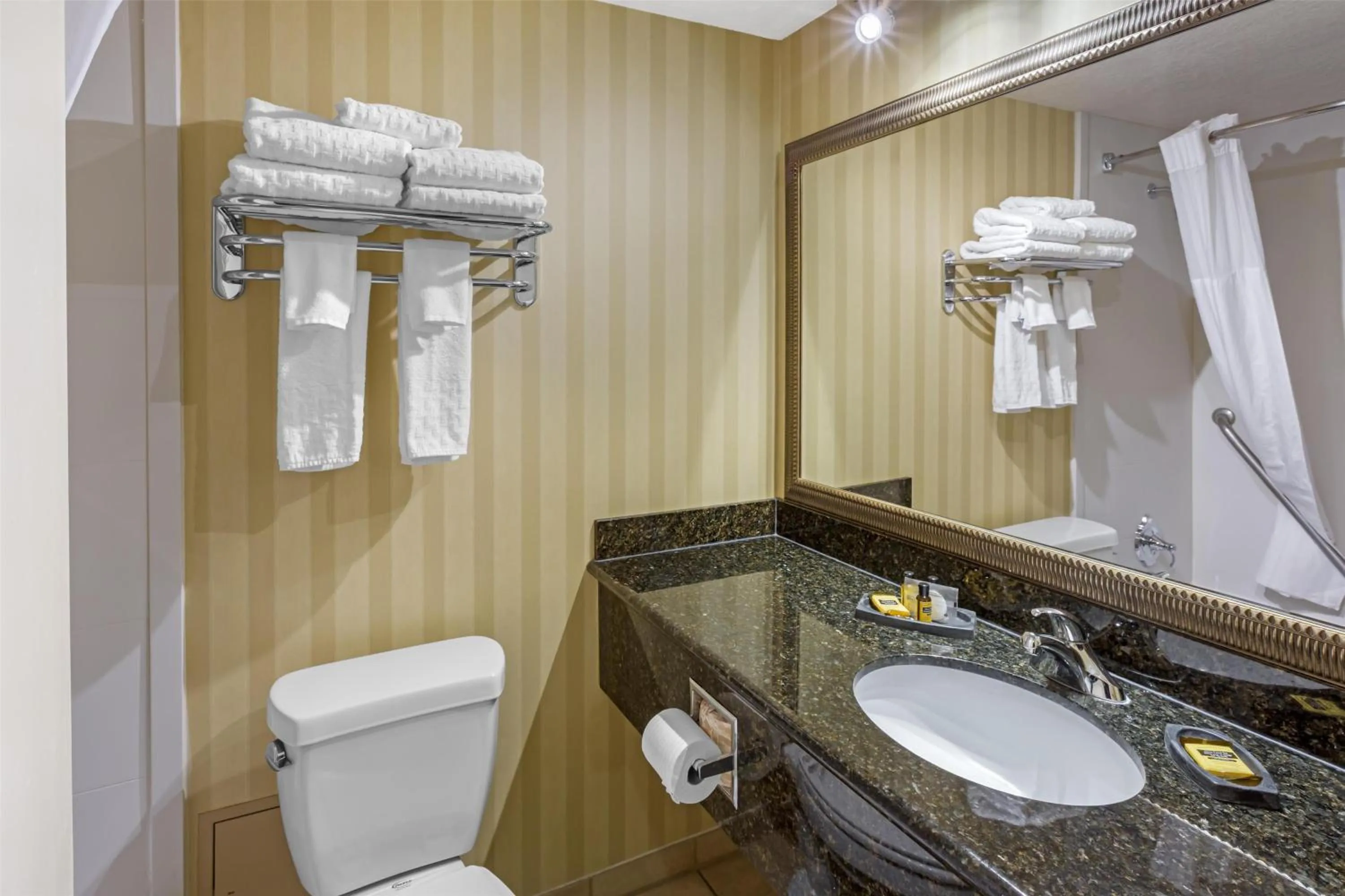 Bathroom in Best Western Plus Canyonlands Inn