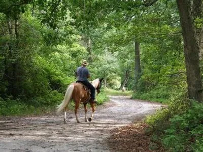 Horse-riding in The Lodges at Gettysburg