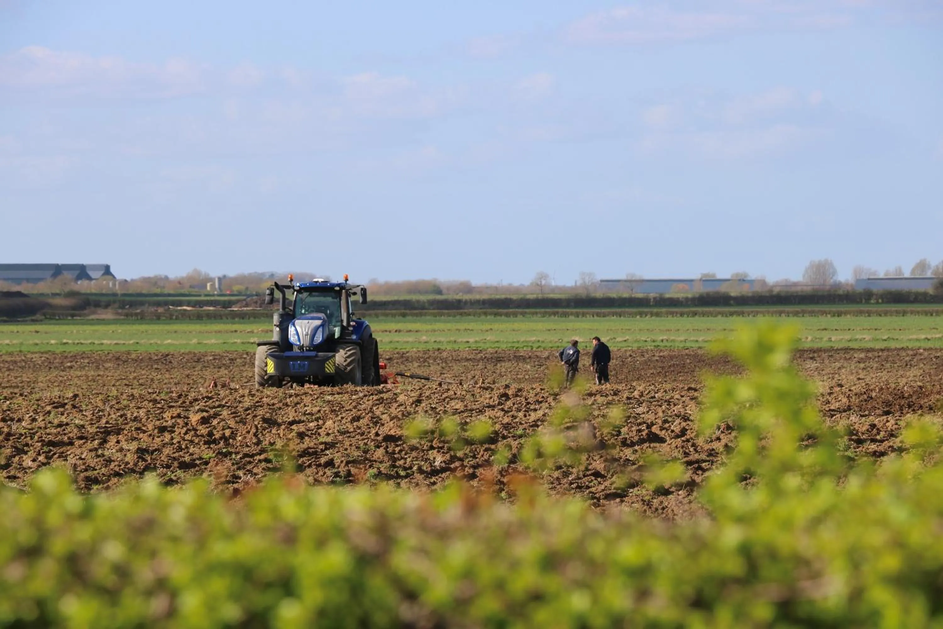 Day in Grange Farm Park
