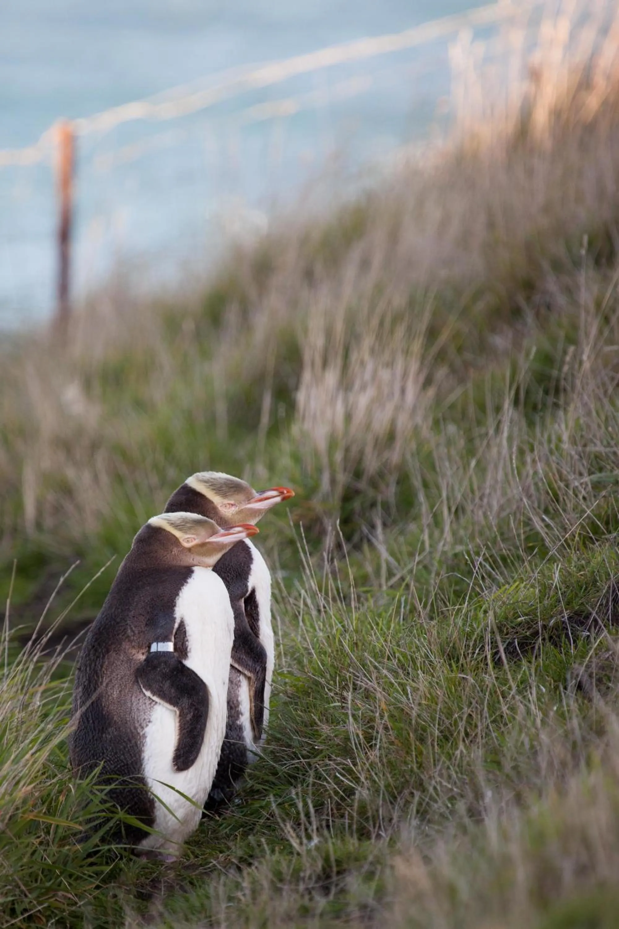 Hiking in Pen-y-bryn Lodge