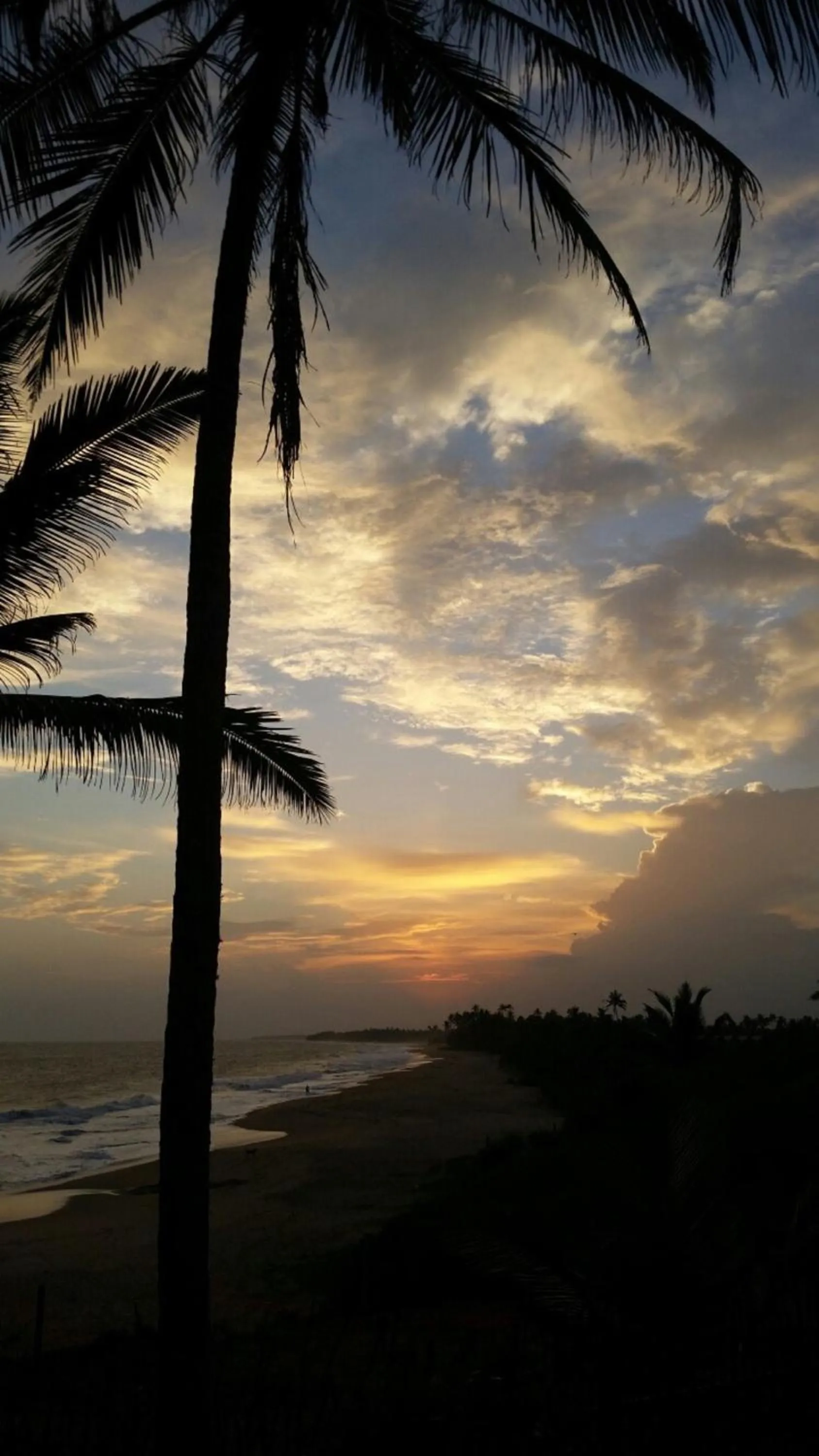 Natural landscape in Turtle Bay Boutique Hotel