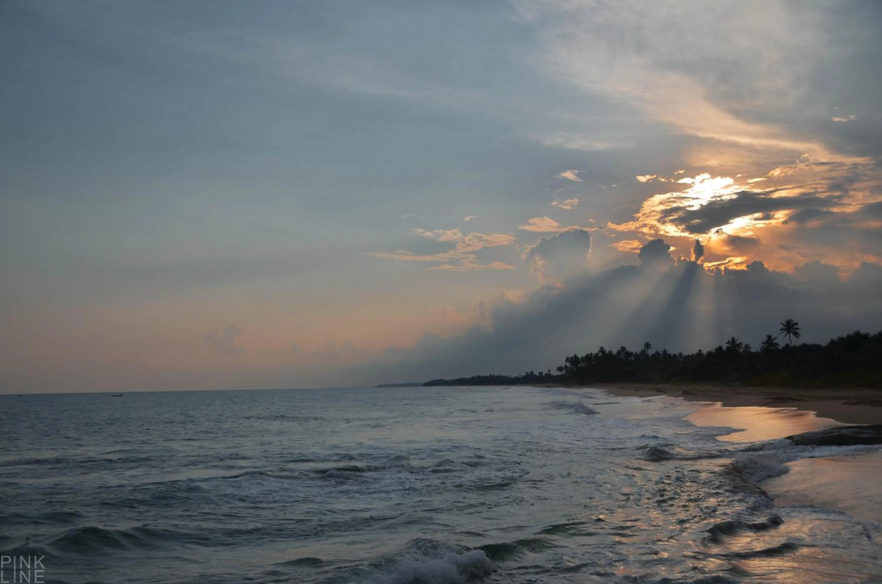 Natural landscape in Turtle Bay Boutique Hotel