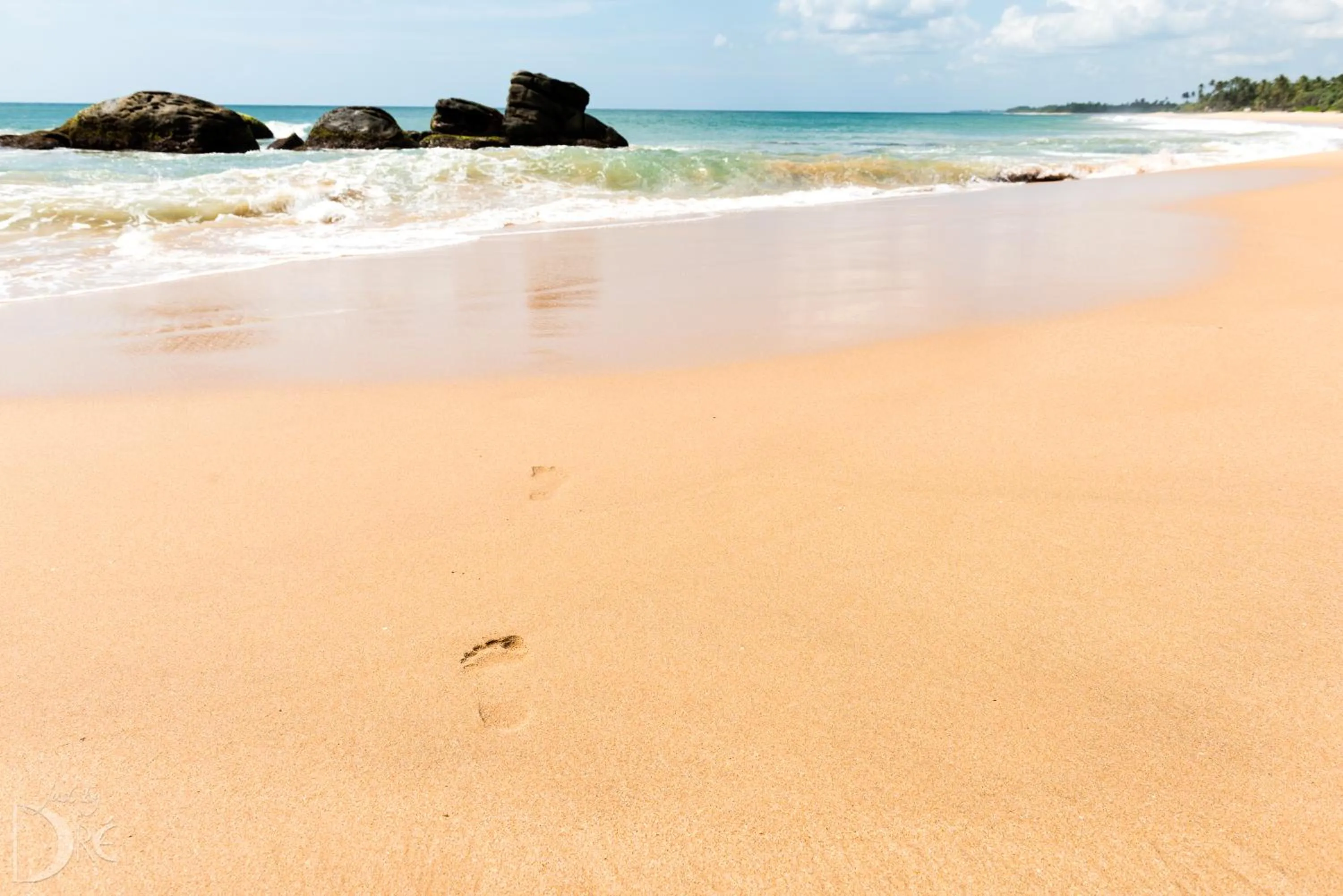 Beach in Turtle Bay Boutique Hotel