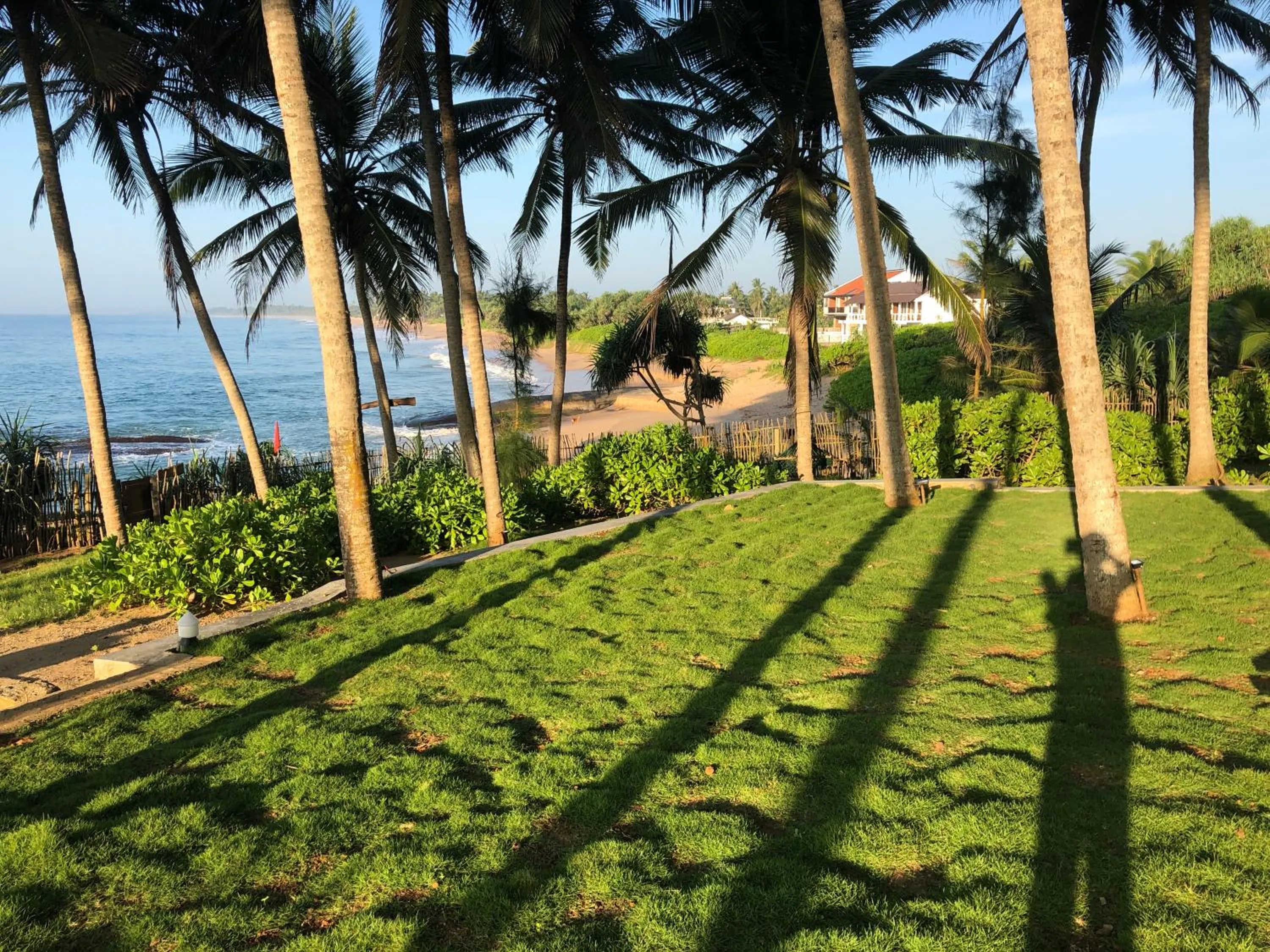 Garden in Turtle Bay Boutique Hotel
