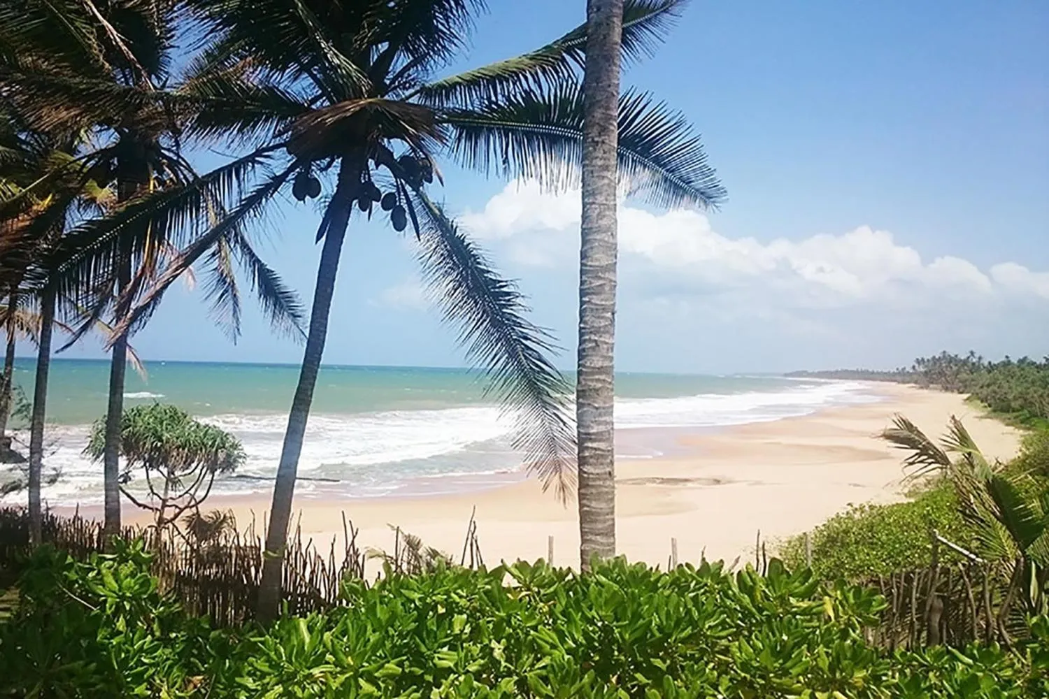 Beach in Turtle Bay Boutique Hotel