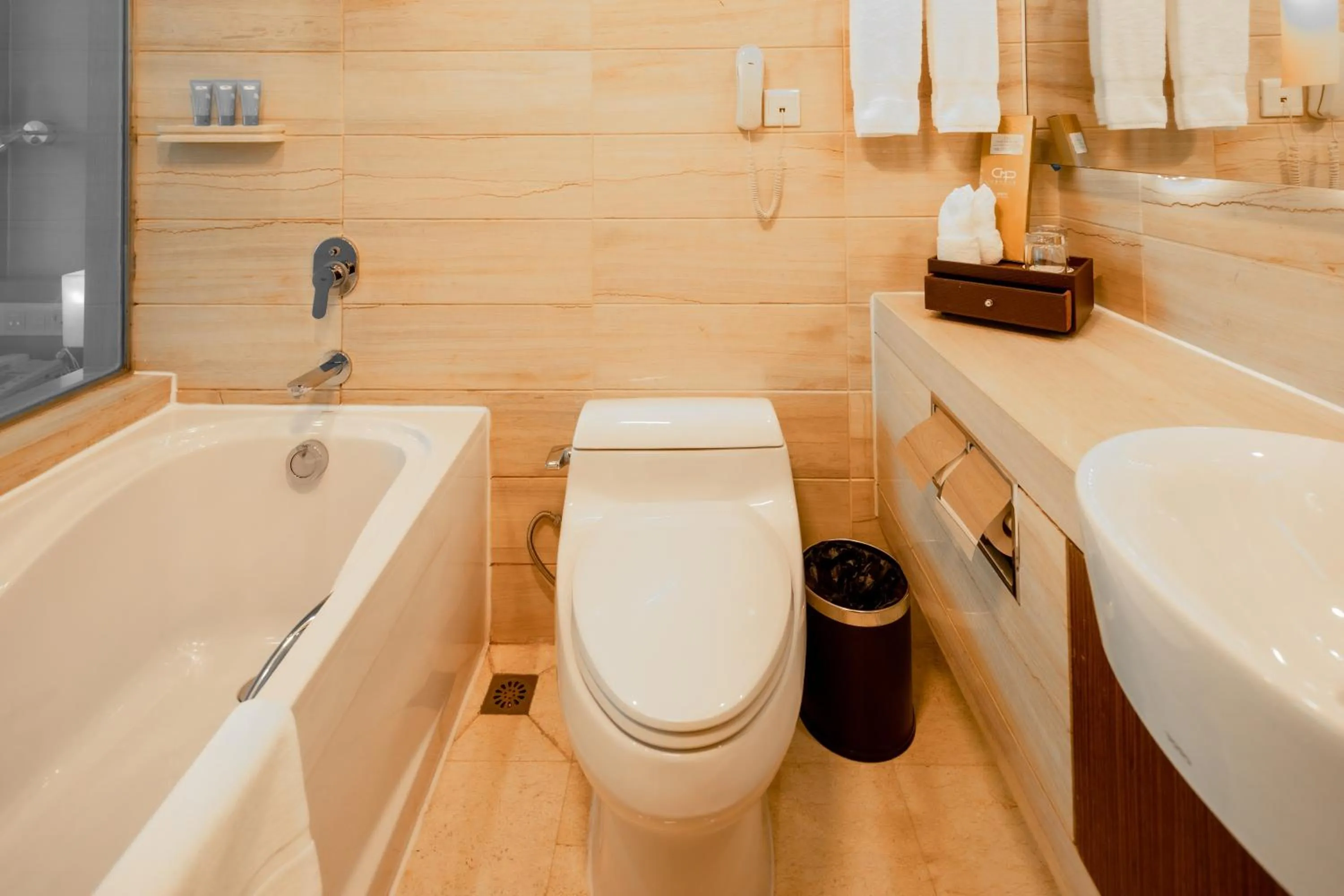 Toilet in China Mayors Plaza