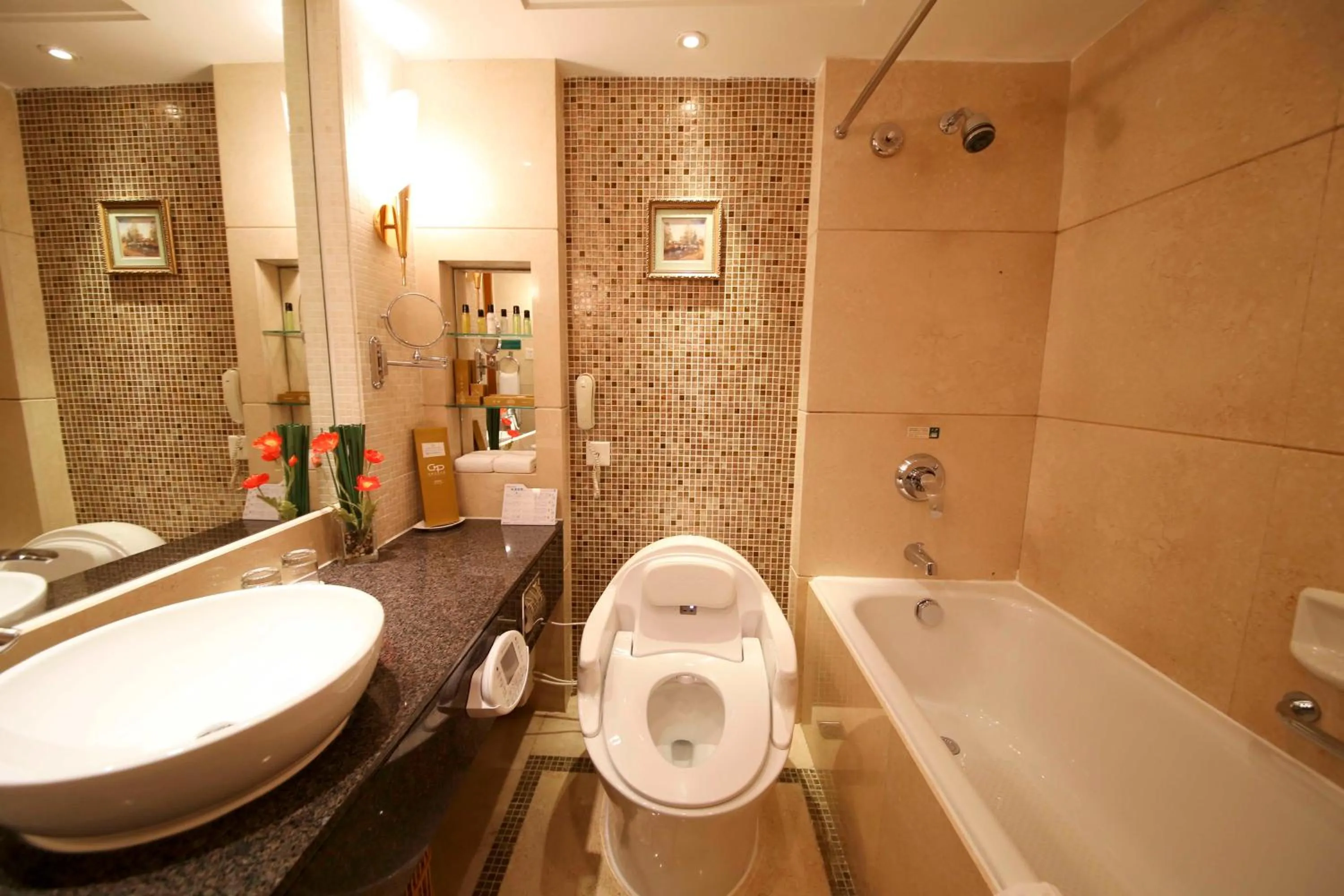 Living room in China Mayors Plaza