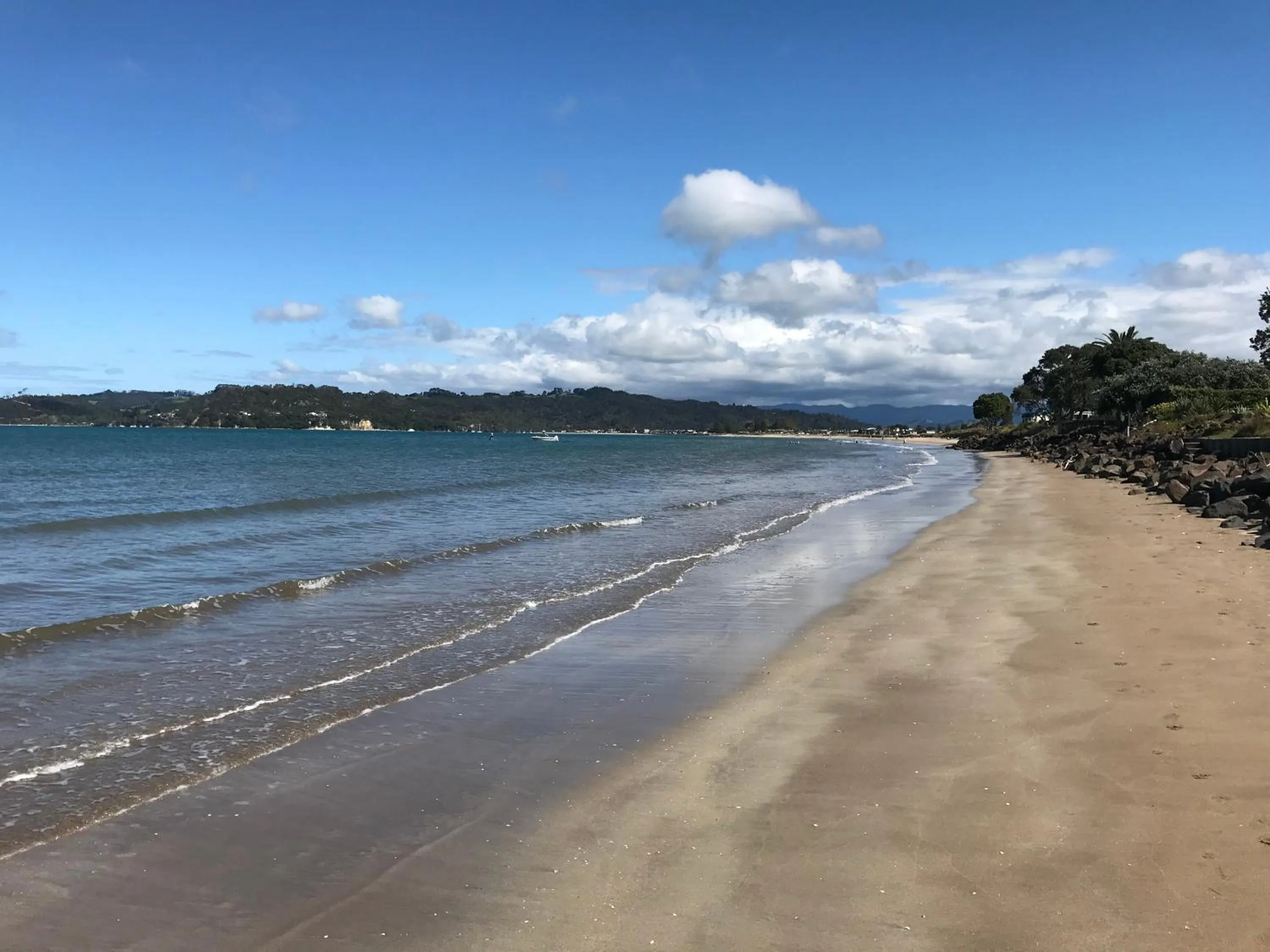 Whitianga Campground